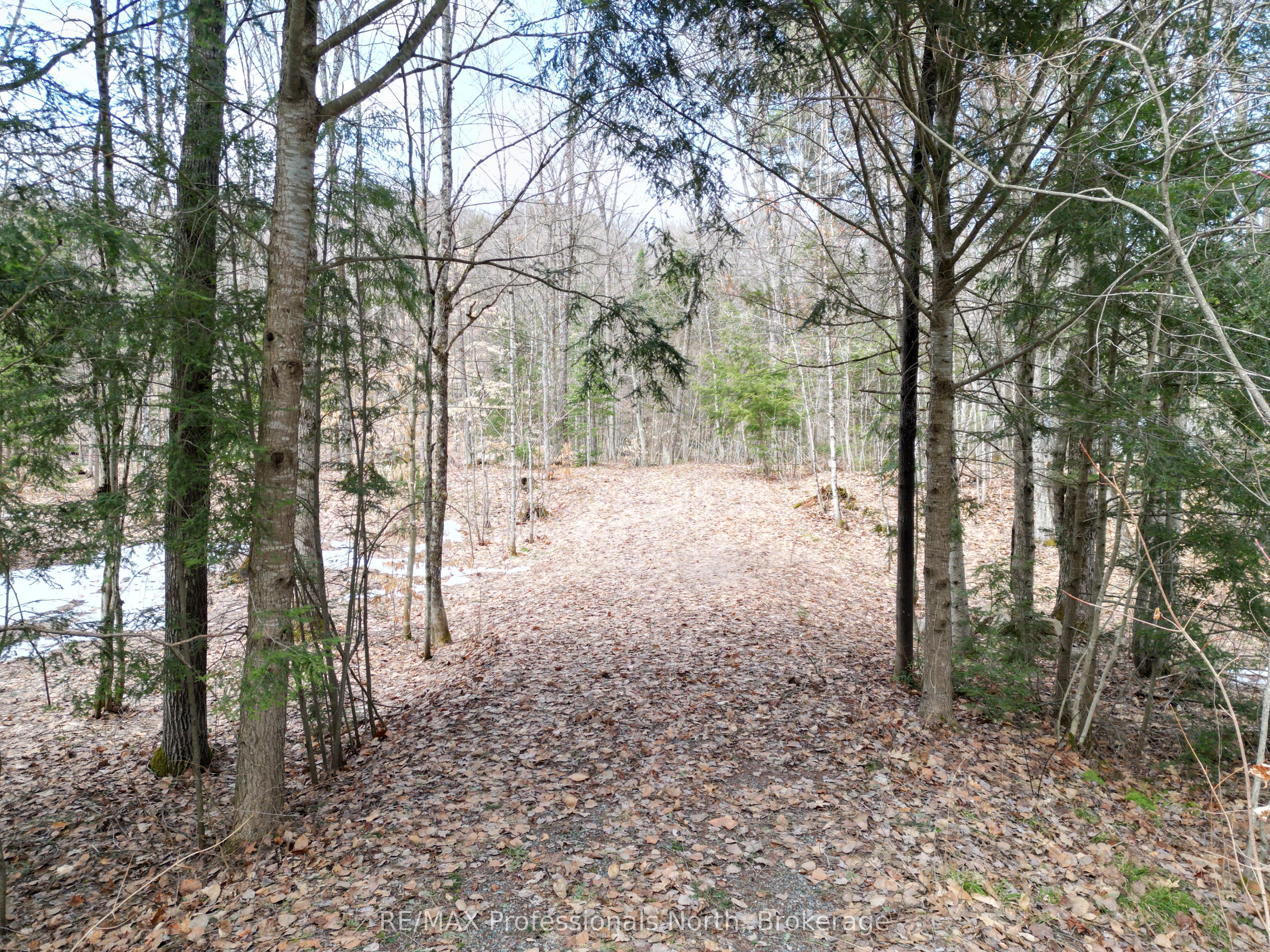 1231 Big Hawk Lake Road Property Photo 1