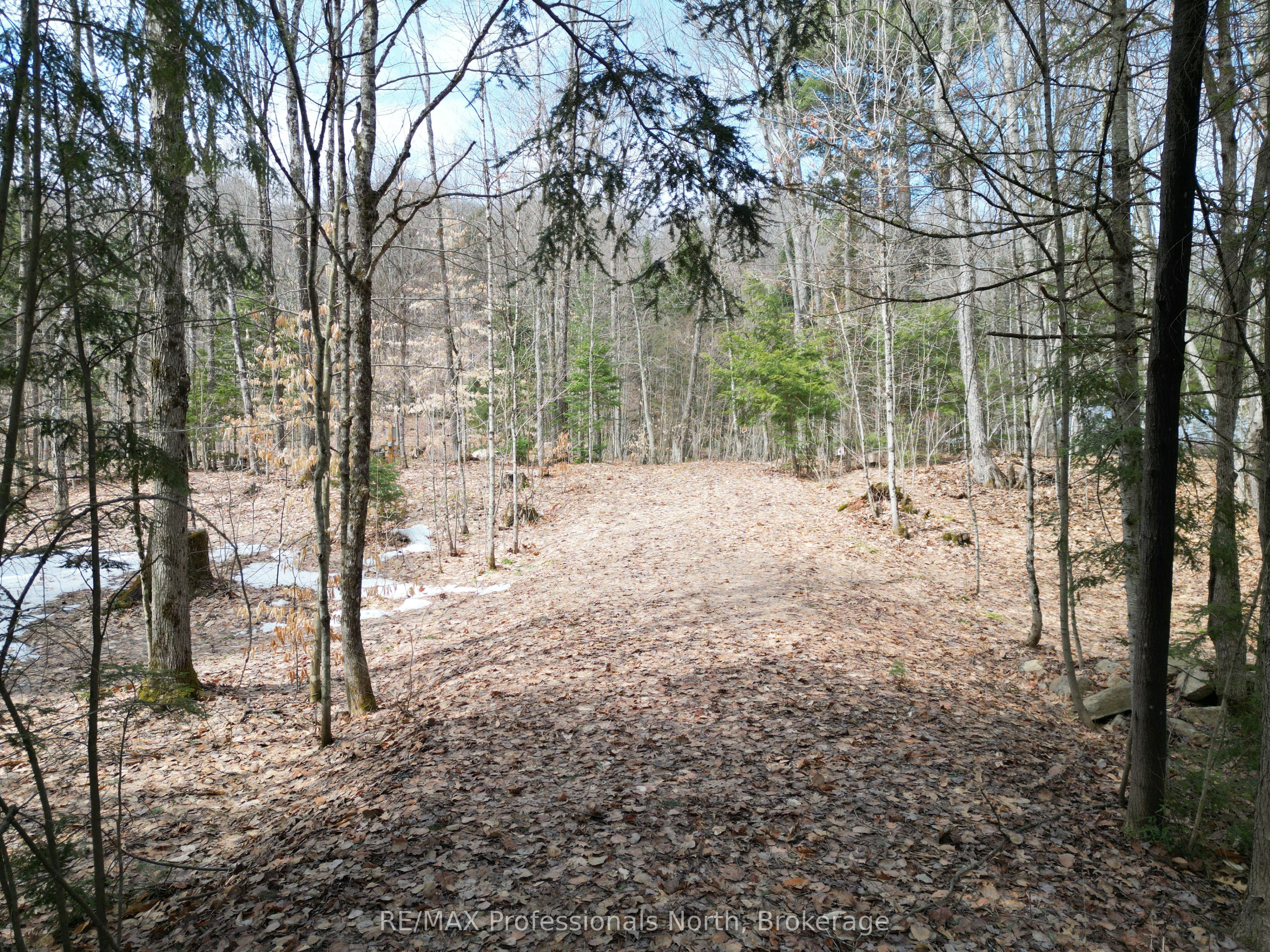 1231 Big Hawk Lake Road Property Photo 2