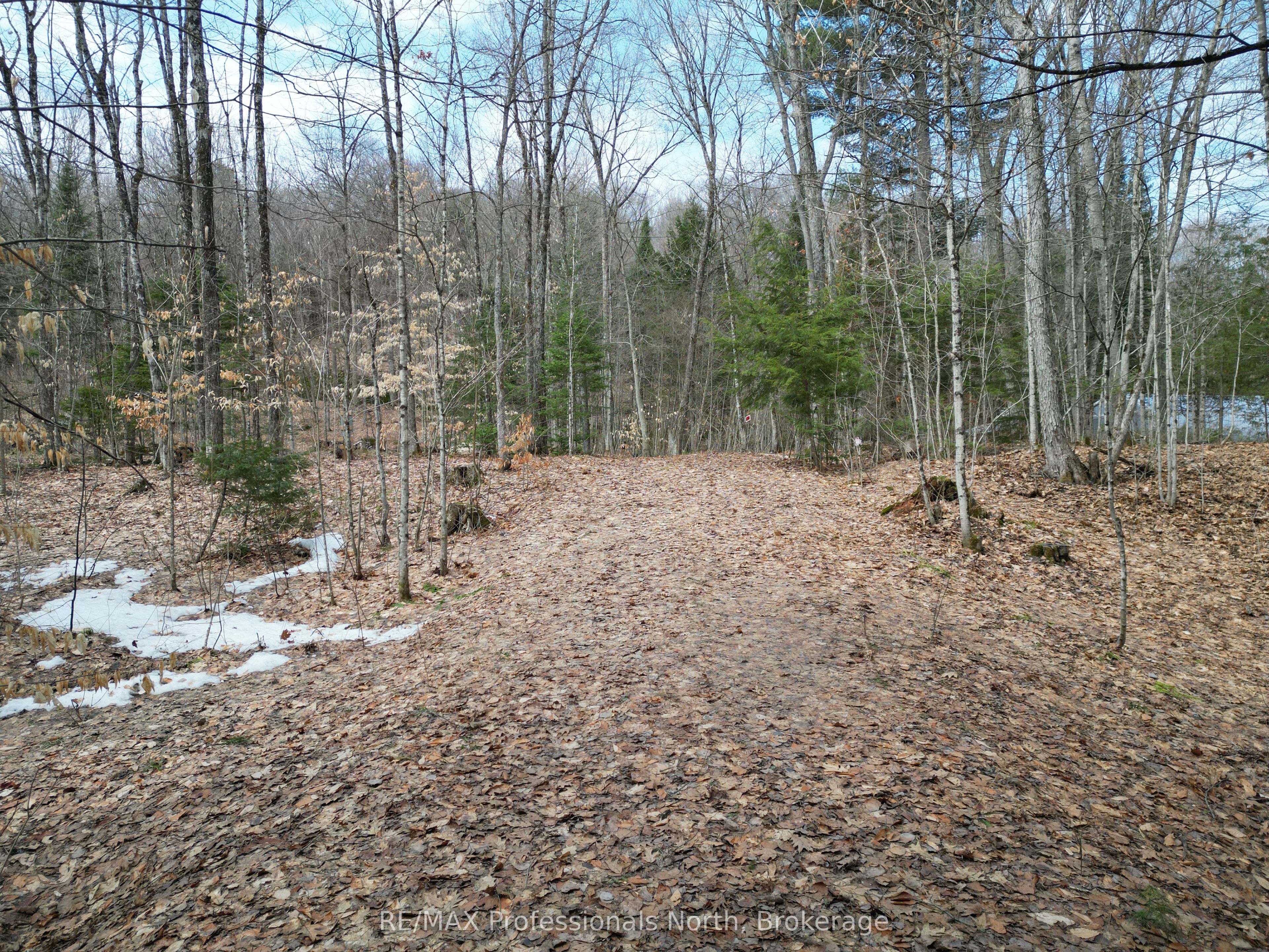 1231 Big Hawk Lake Road Property Photo 3