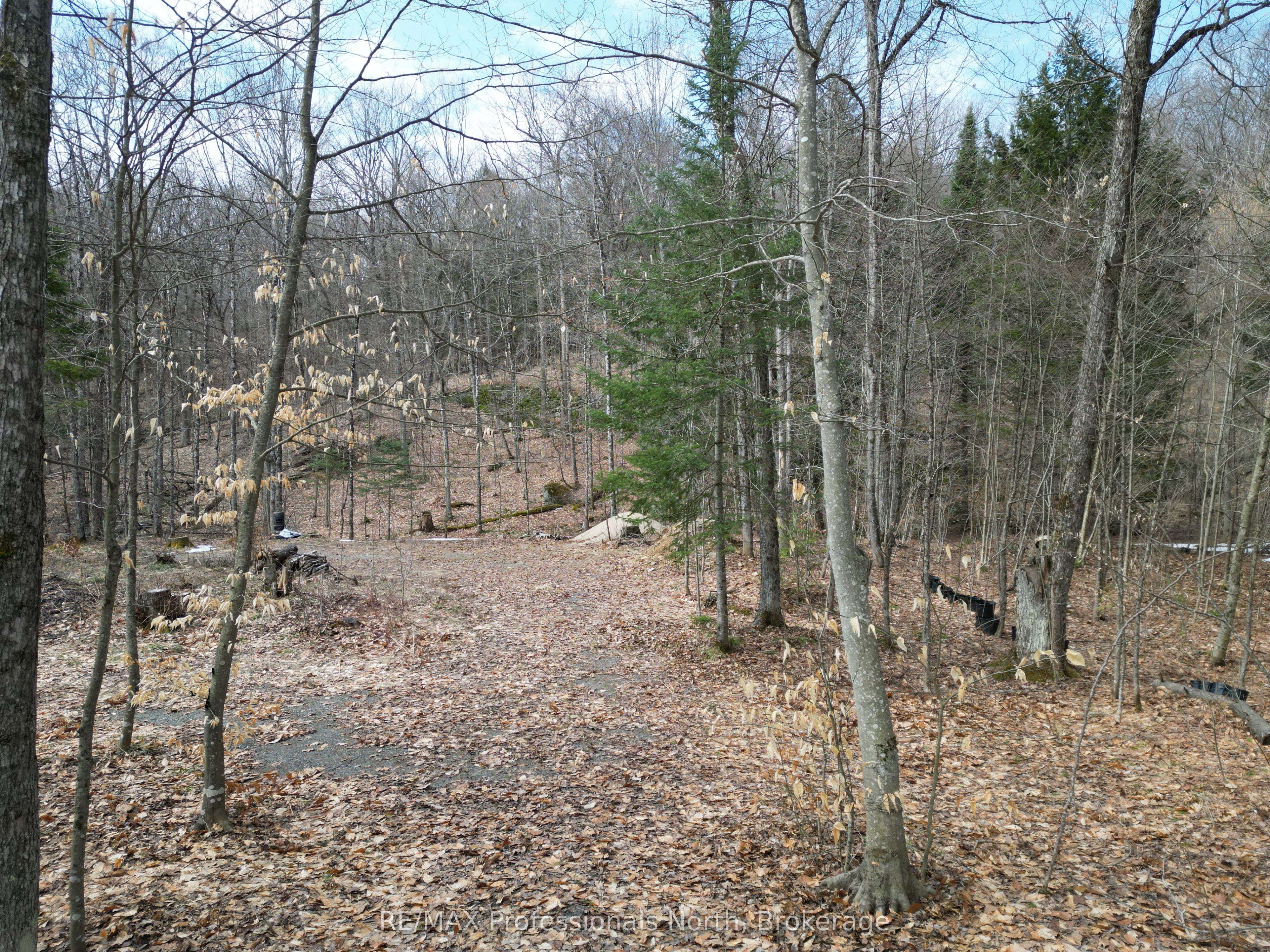 1231 Big Hawk Lake Road Property Photo 4