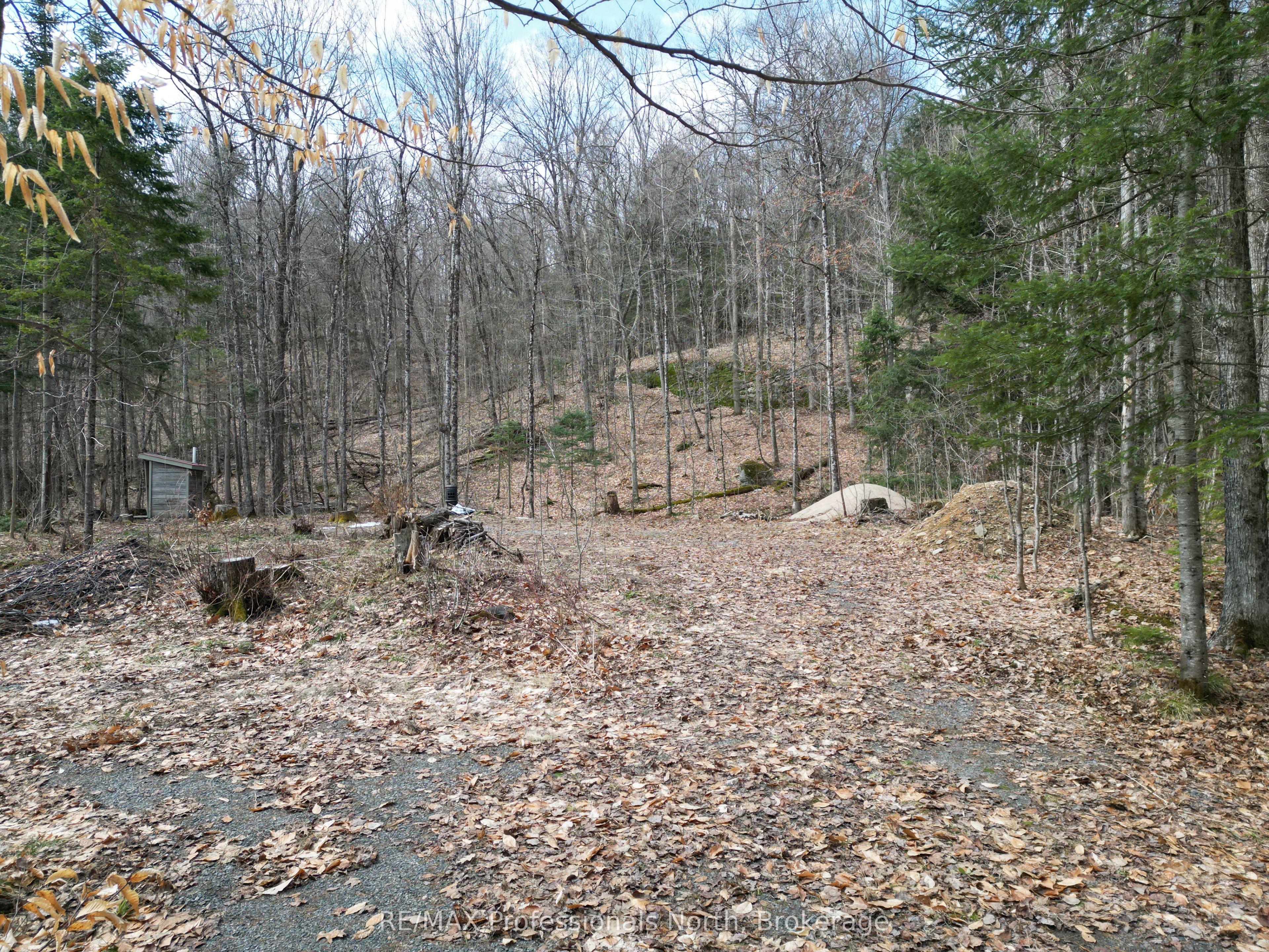 1231 Big Hawk Lake Road Property Photo 5