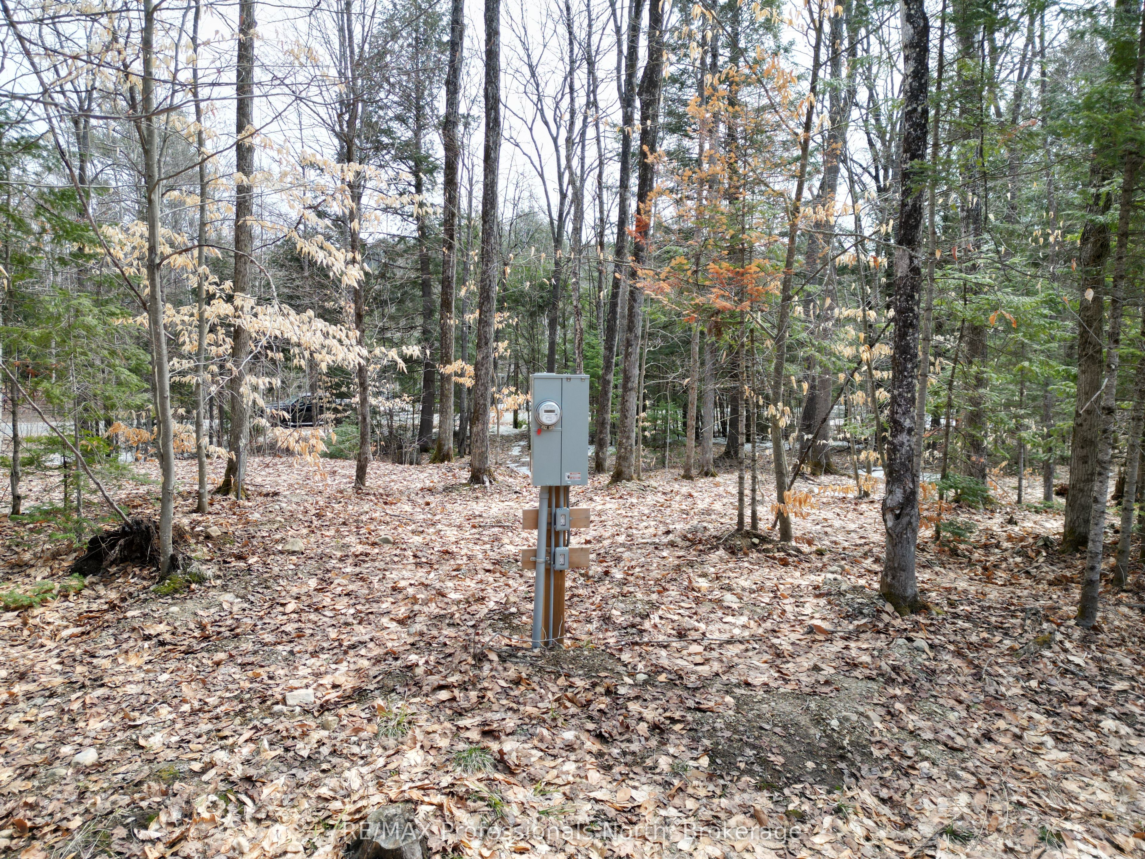 1231 Big Hawk Lake Road Property Photo 6