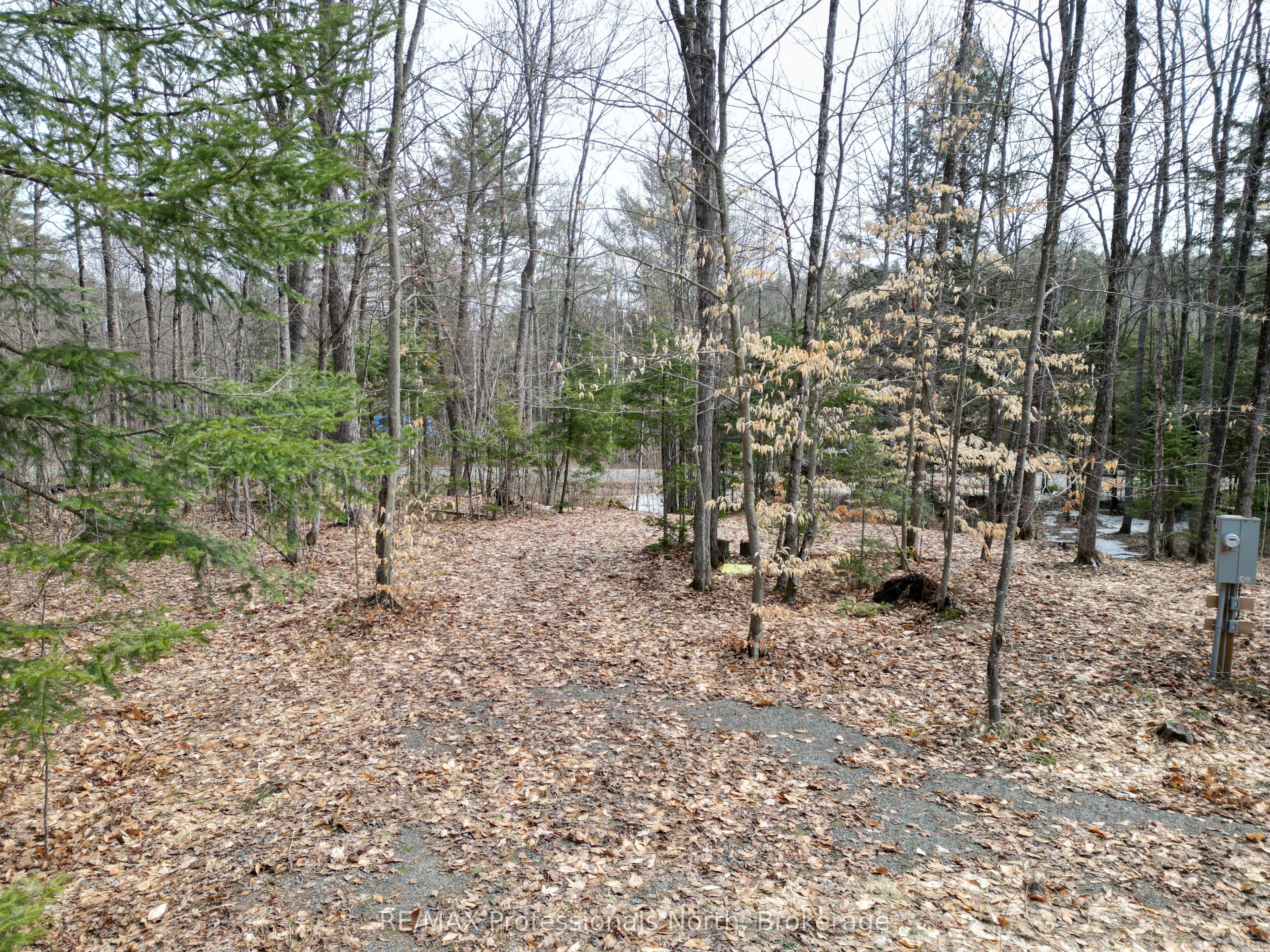 1231 Big Hawk Lake Road Property Photo 9