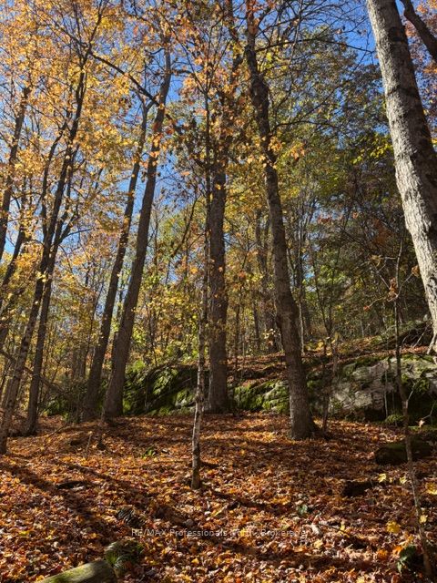 1231 Big Hawk Lake Road Property Photo 15