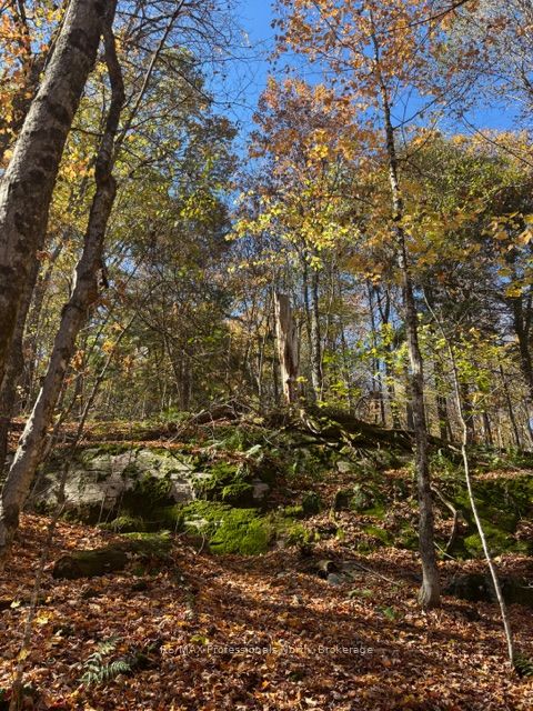 1231 Big Hawk Lake Road Property Photo 16