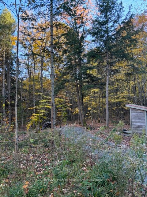 1231 Big Hawk Lake Road Property Photo 20