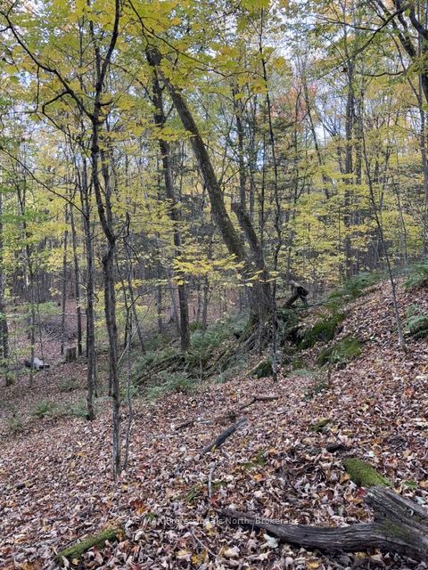 1231 Big Hawk Lake Road Property Photo 23