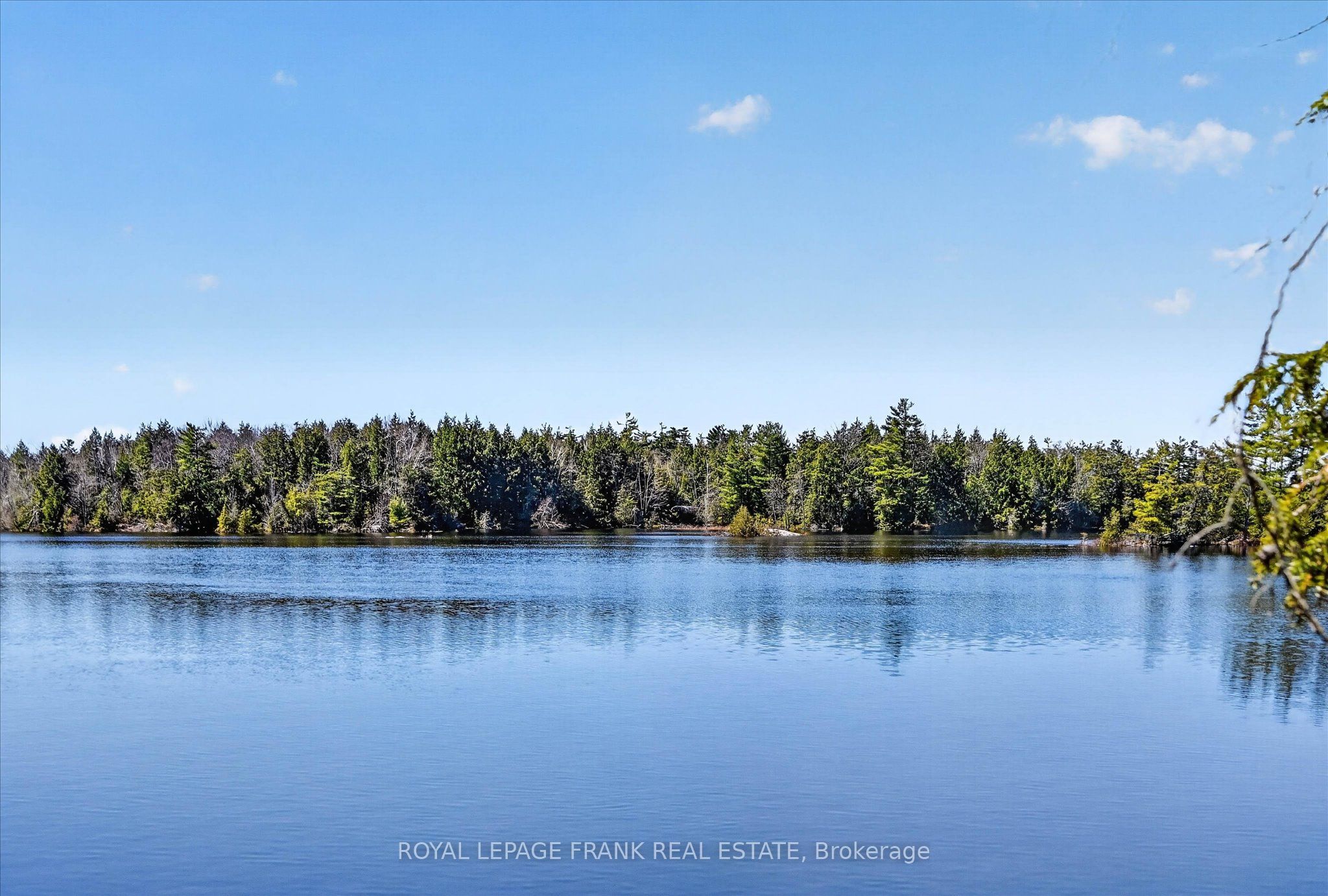 1484 Birchview Road Property Photo 3
