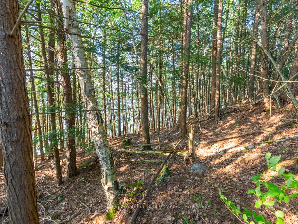 1250 Waldmere Road Lot#2 Property Photo 10