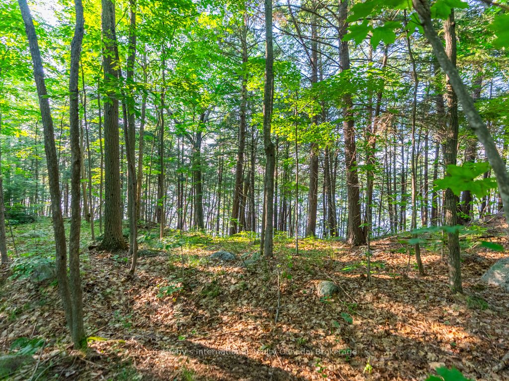 1250 Waldmere Road Lot#2 Property Photo 11