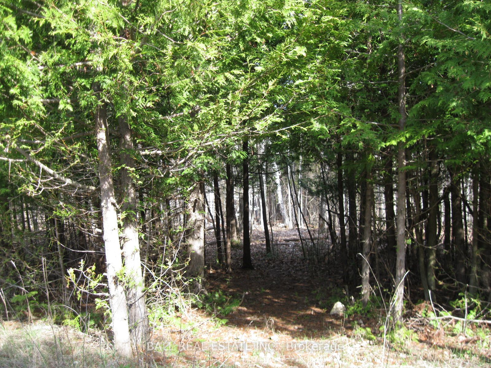 81 Silver Heights Drive Property Photo 18
