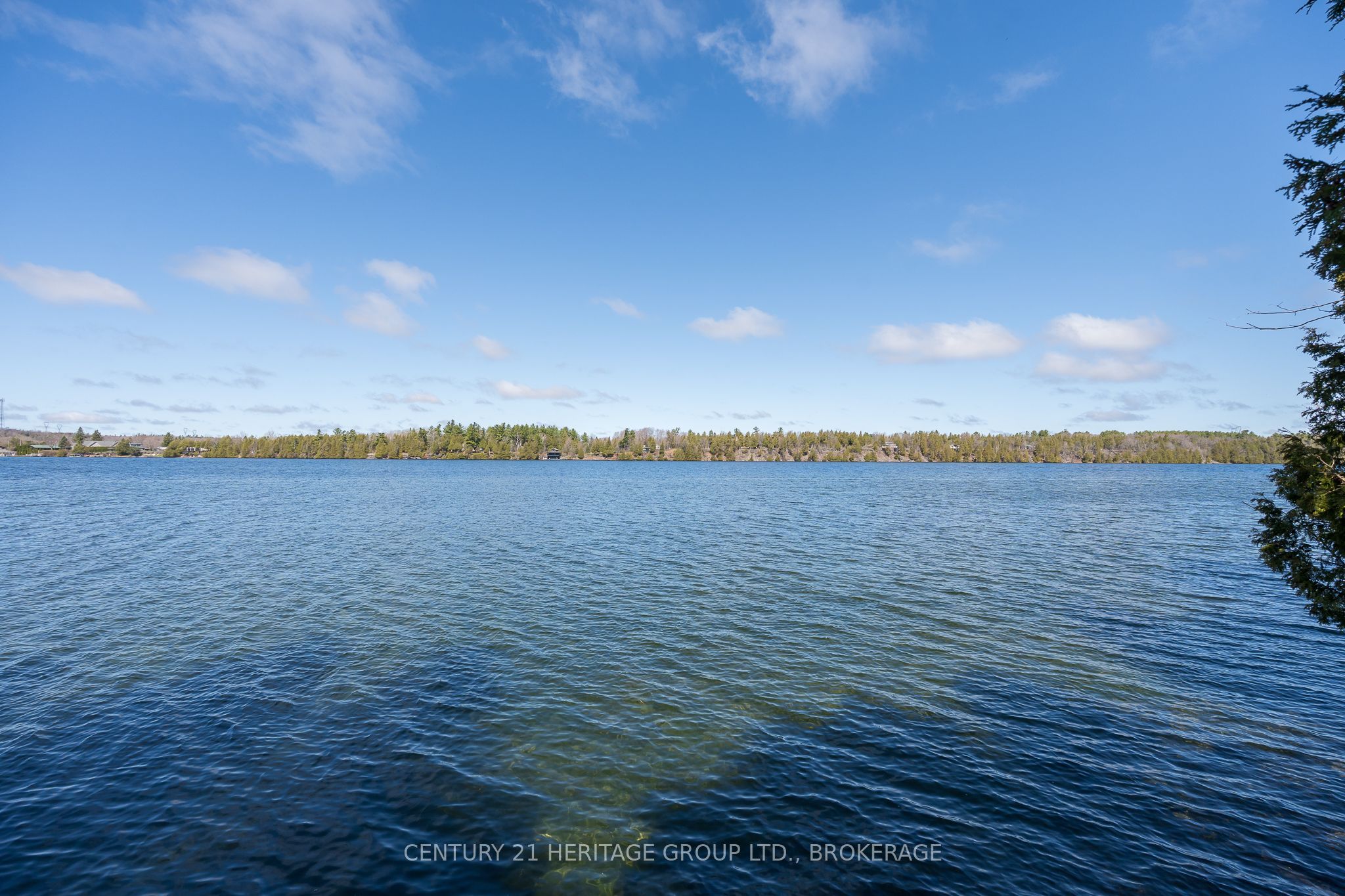 5064 Cedar Ridges Road Property Photo 23