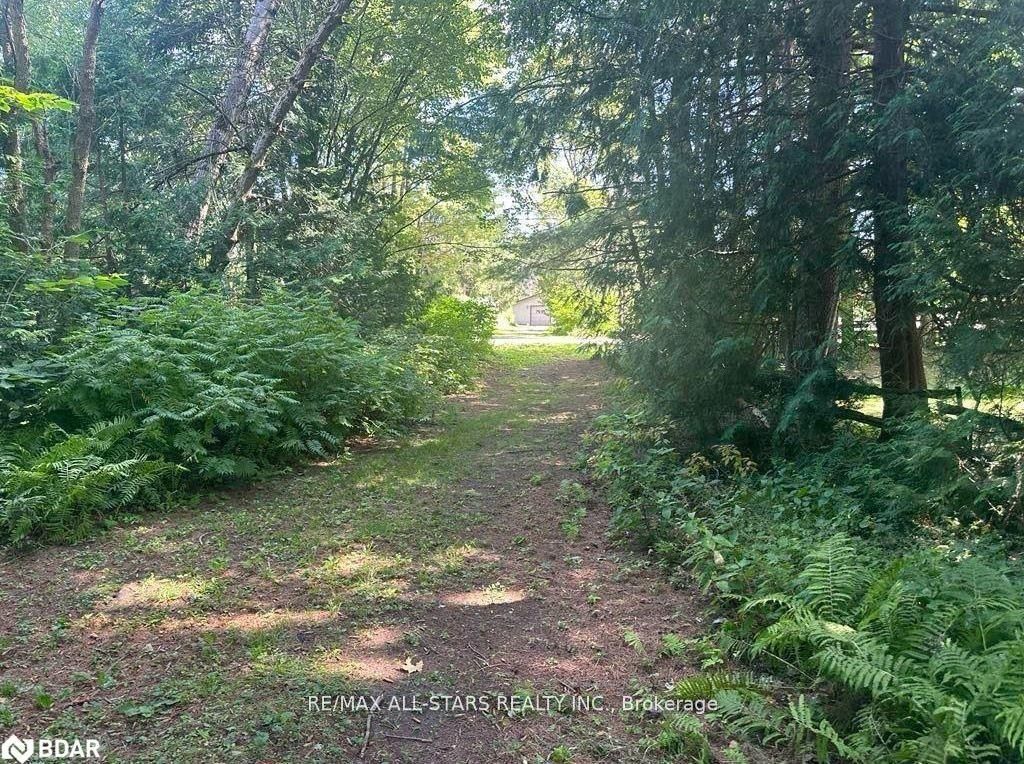 Lot 45 River Road Property Photo 1