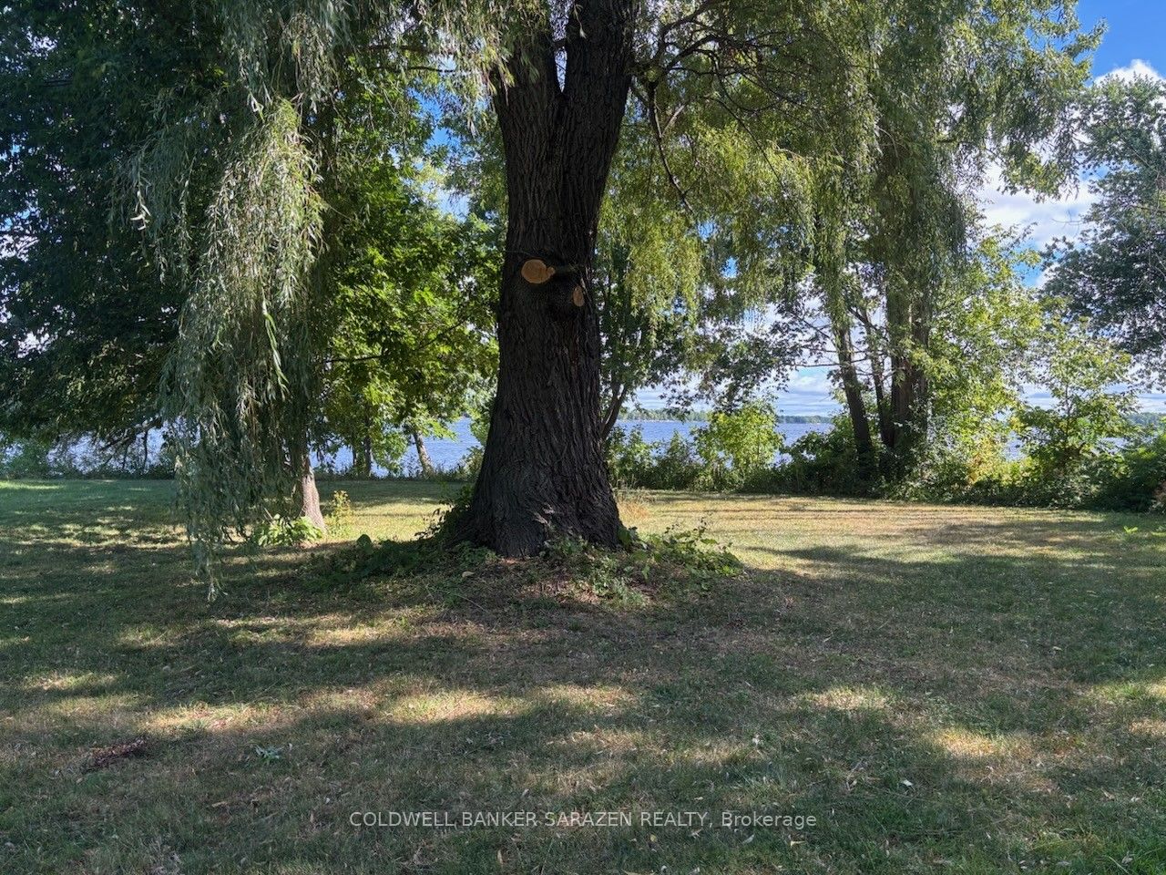 2605 Trans Canada Highway Property Photo 8