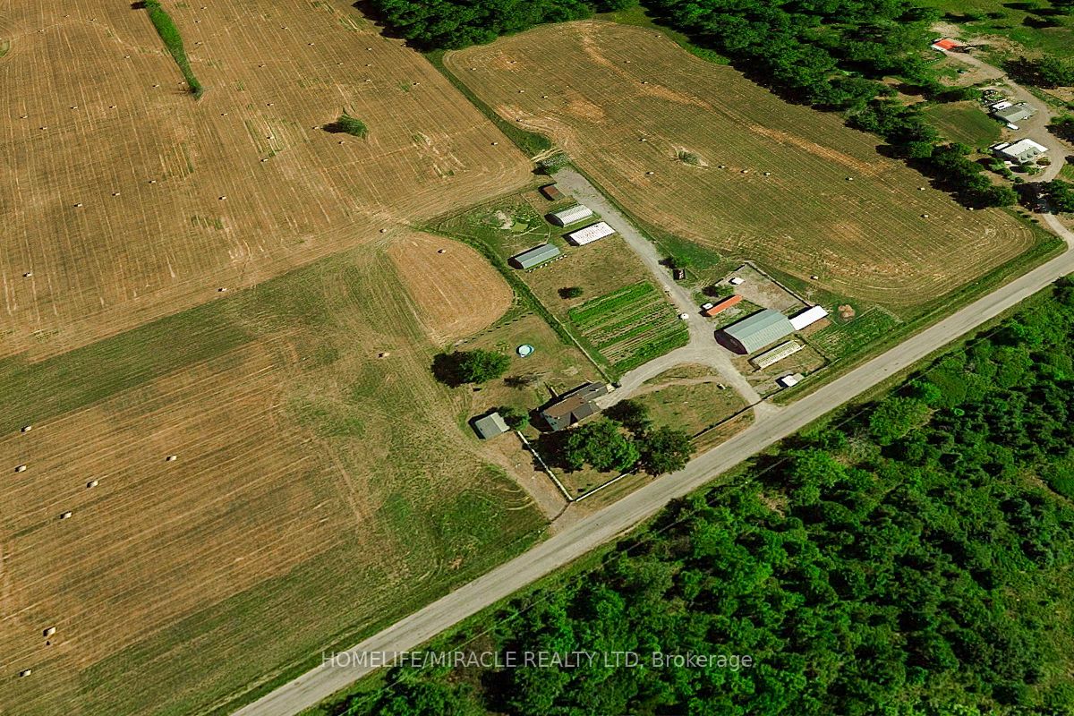970 Carl Road Property Photo 5