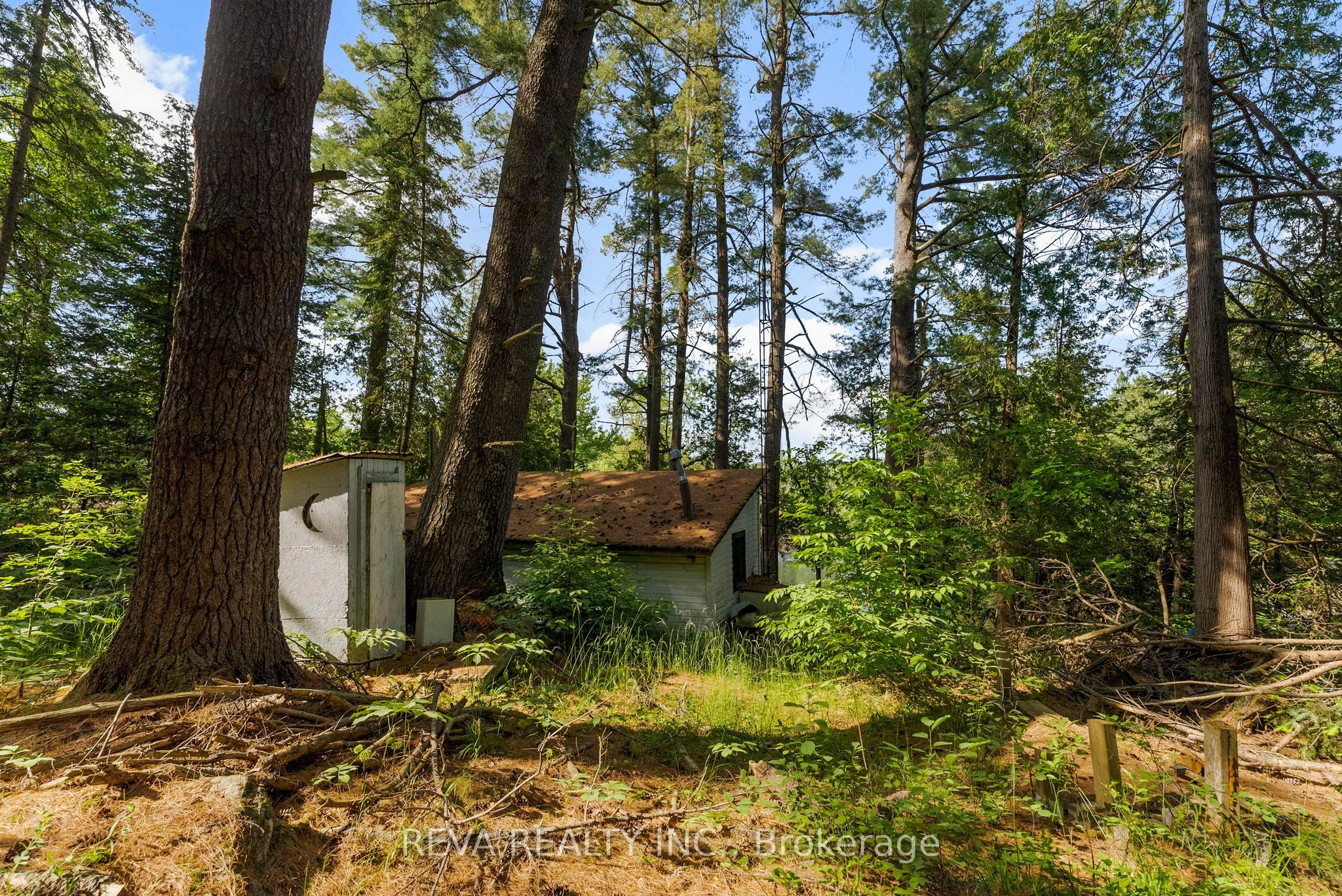 35532 Highway 28 Highway Property Photo 8