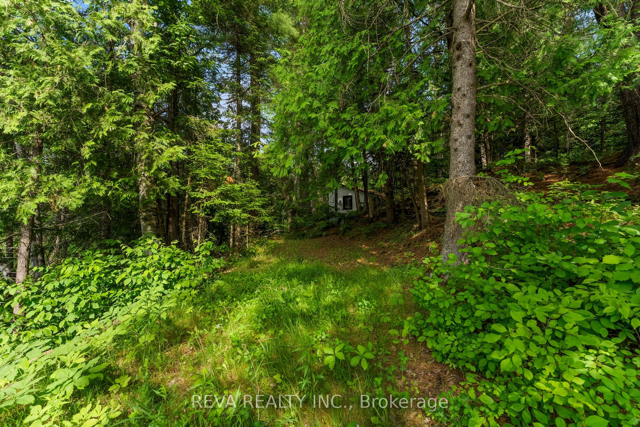 35532 Highway 28 Highway Property Photo 10
