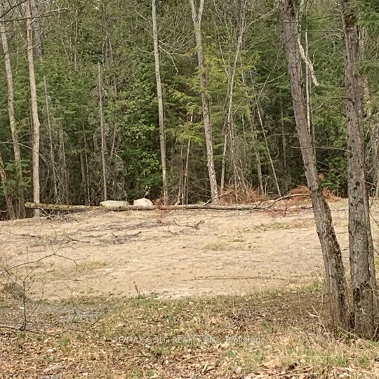 5 Mountain Basin Drive Property Photo 2
