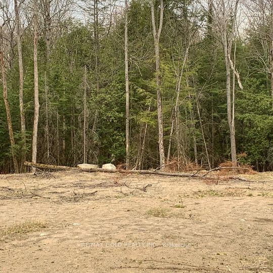 5 Mountain Basin Drive Property Photo 4