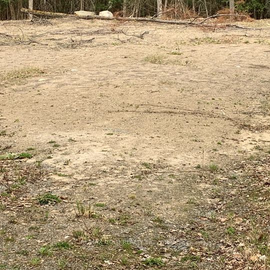 5 Mountain Basin Drive Property Photo 5