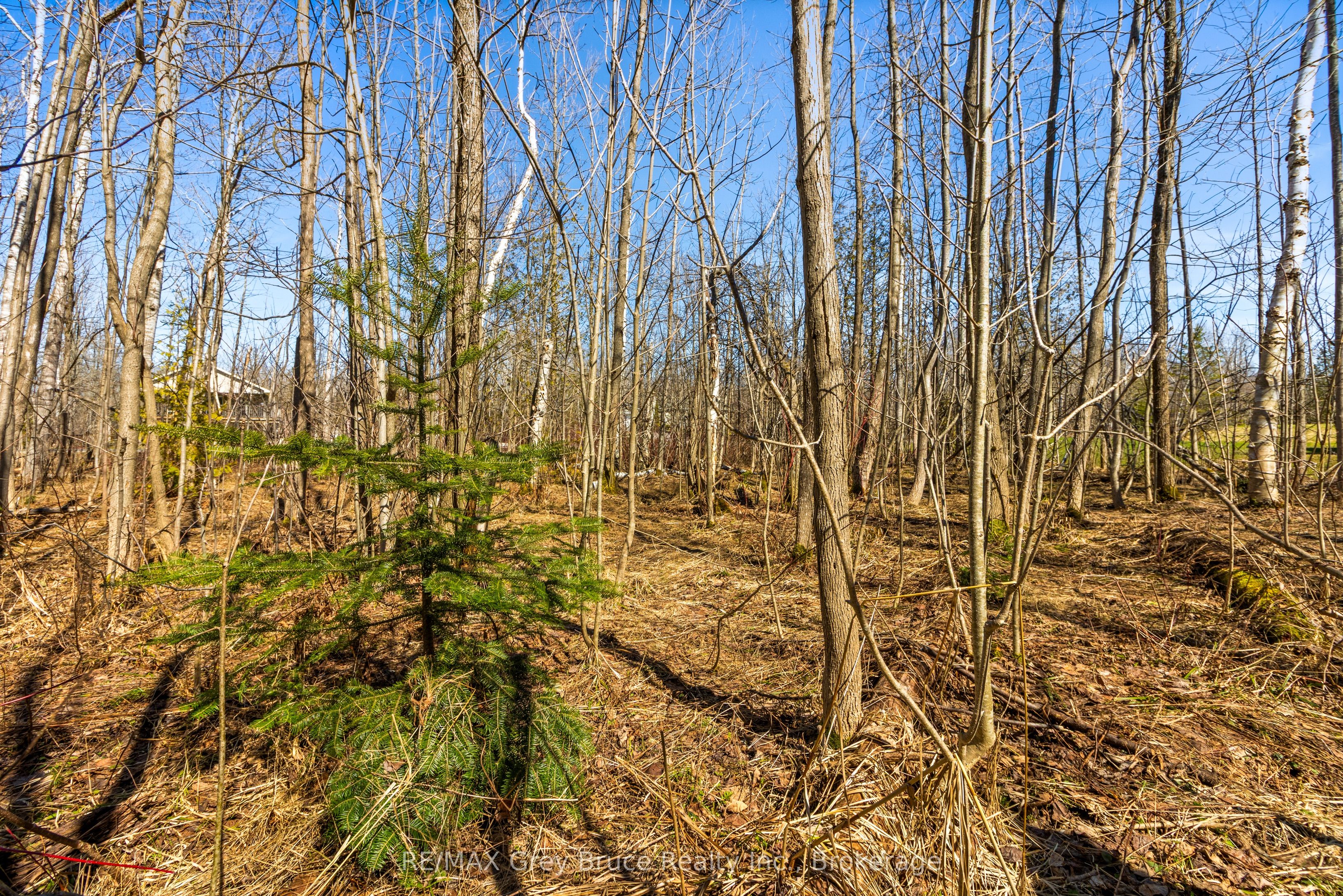 Part 28 Maple Drive Property Photo 4