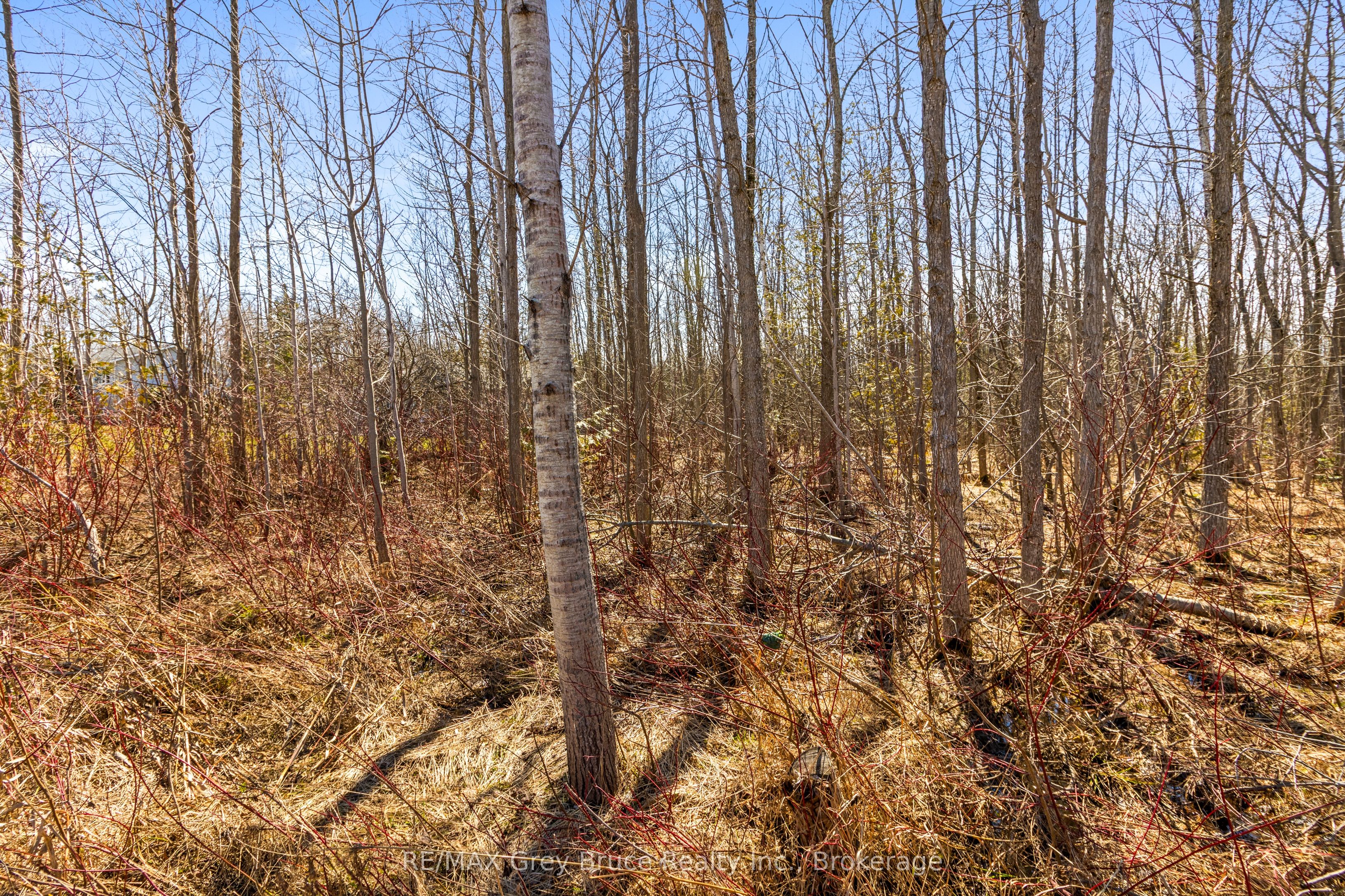 Part 28 Maple Drive Property Photo 10
