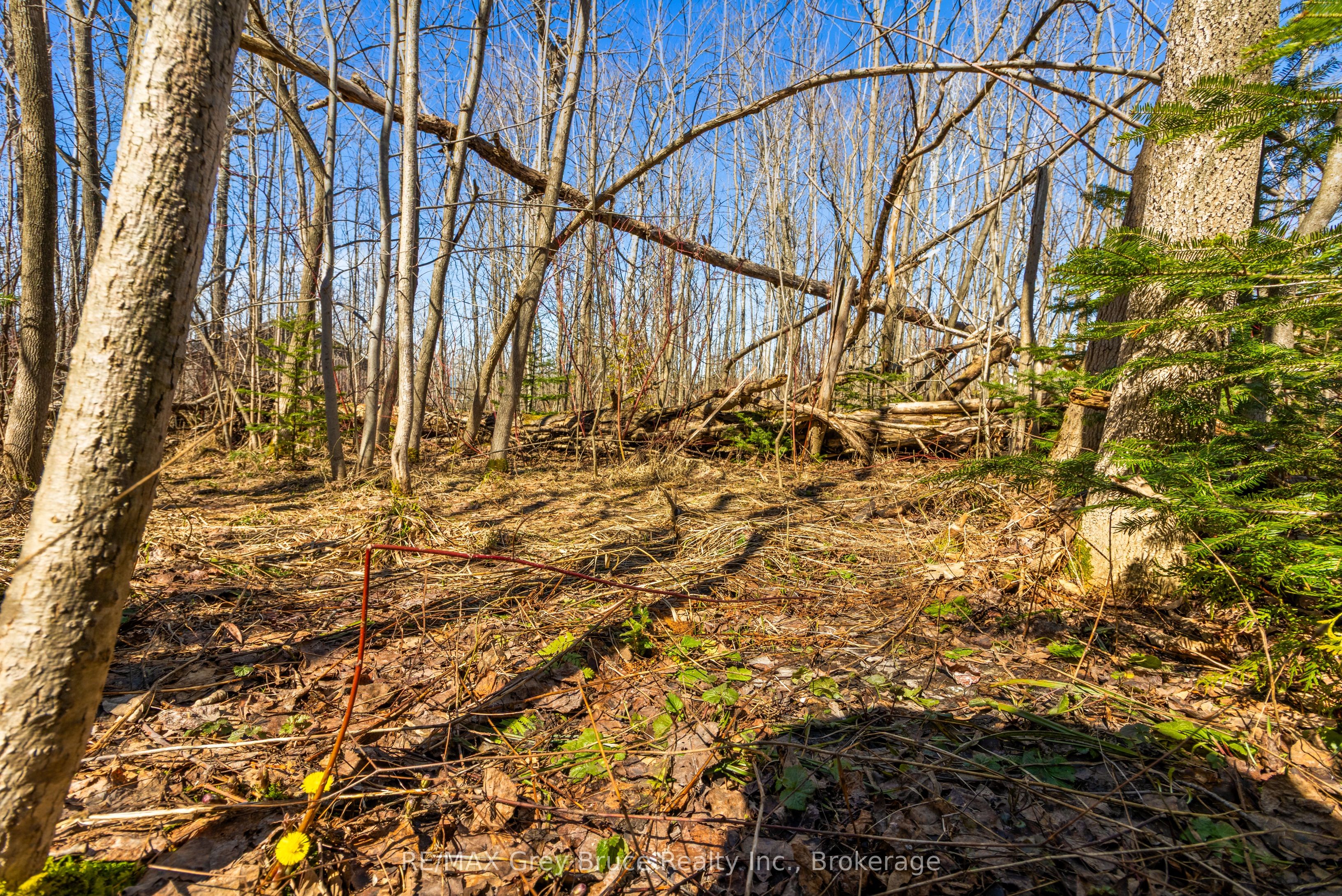 Part 28 Maple Drive Property Photo 15