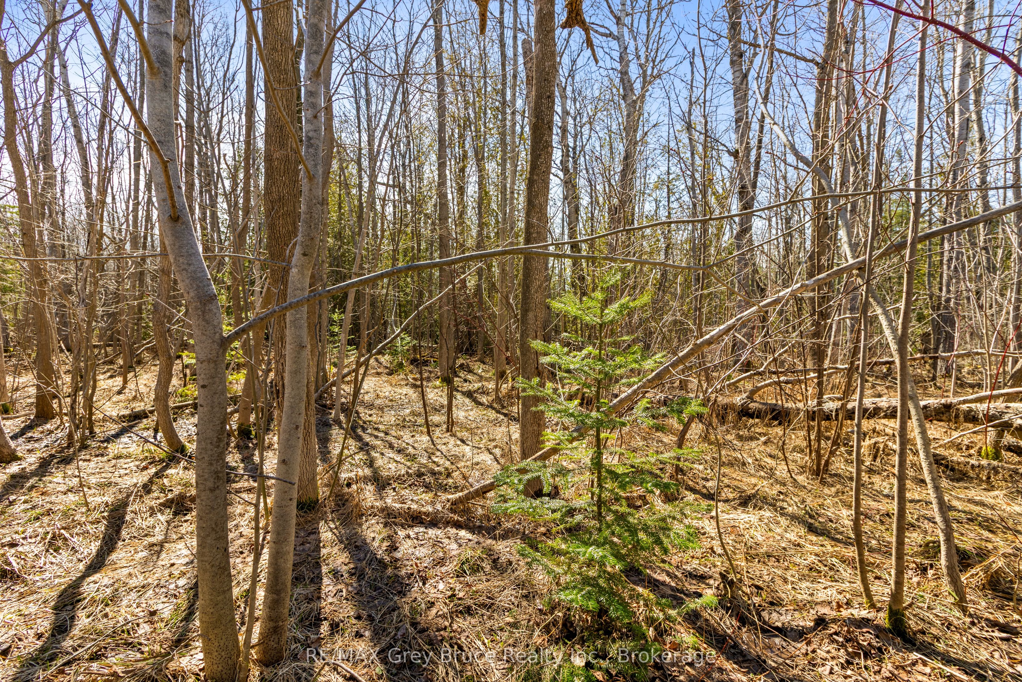 Part 28 Maple Drive Property Photo 16