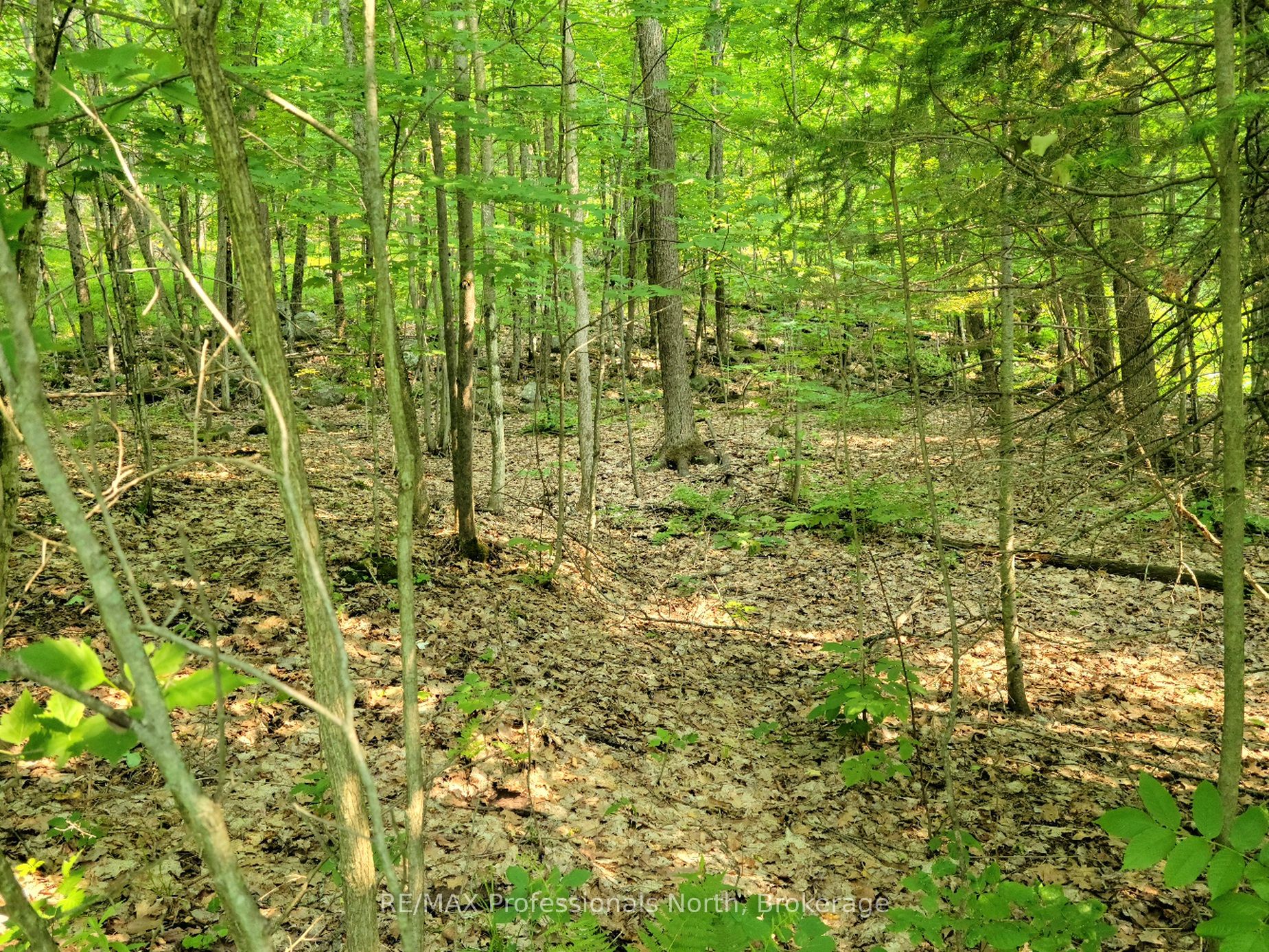 32 MOUNT VERNON Trail 22 Property Photo 1