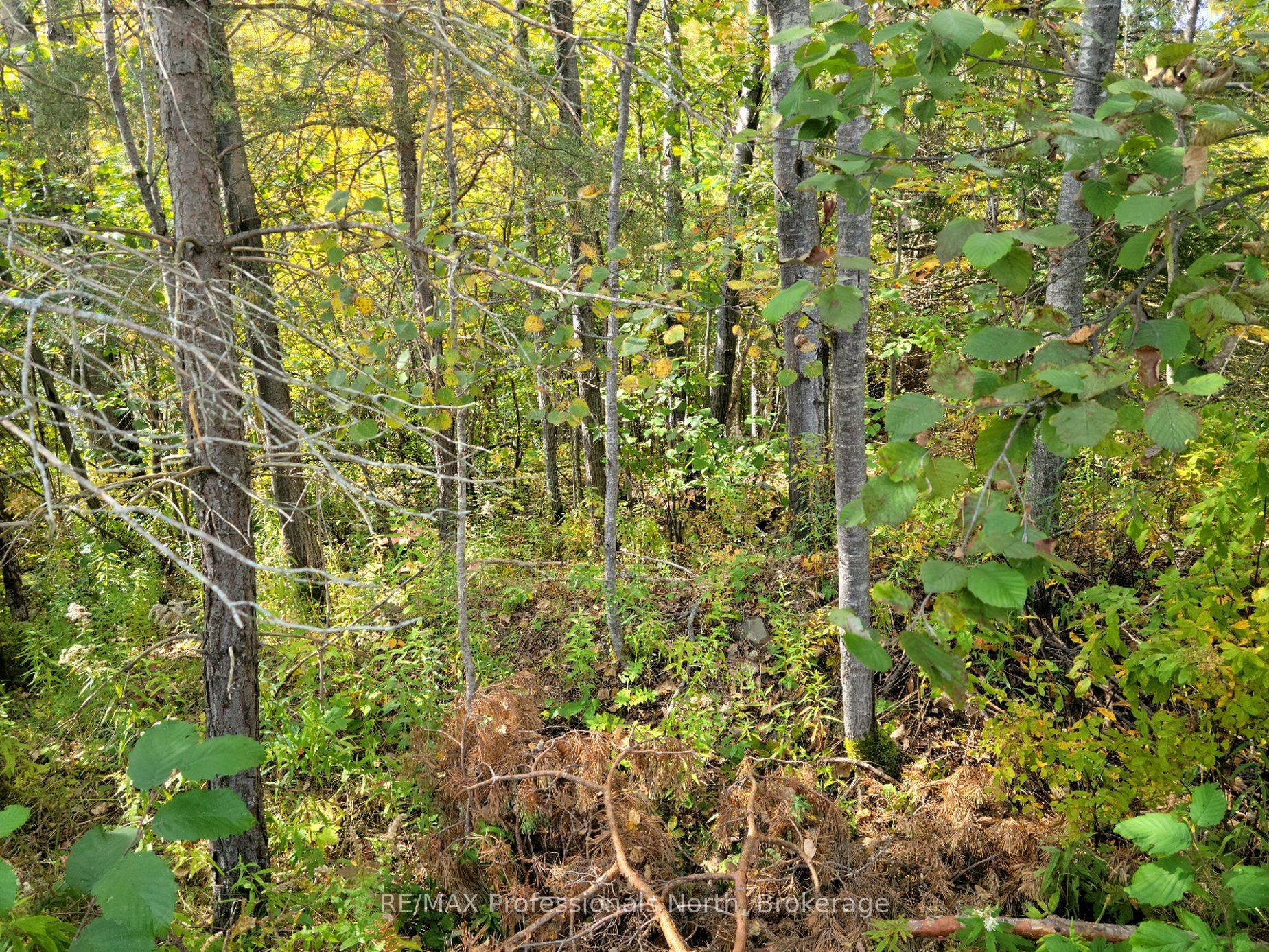 4 Fox Run Lane 32 Property Photo 1