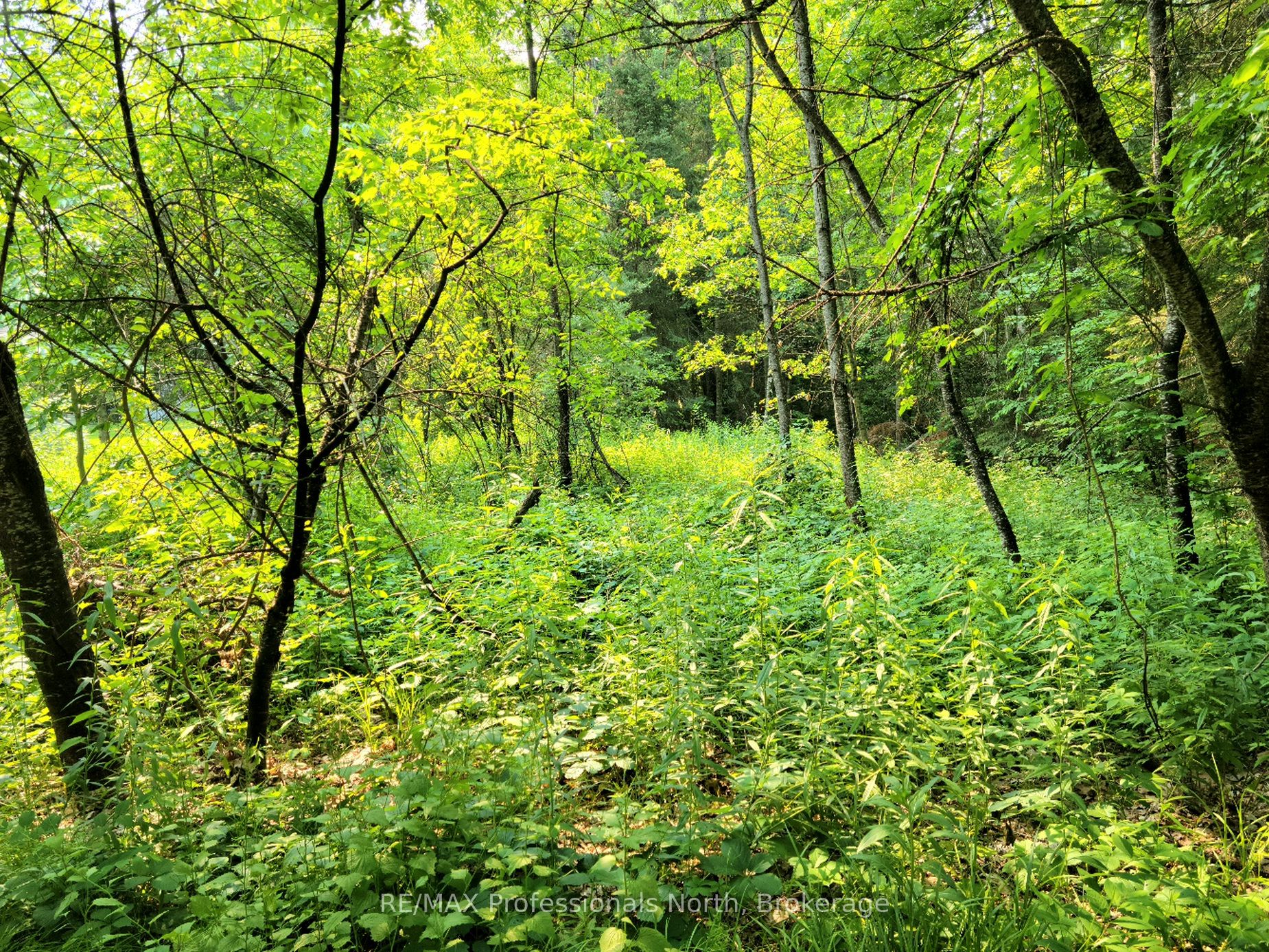 35 Mount Vernon Trail 26 Property Photo 1