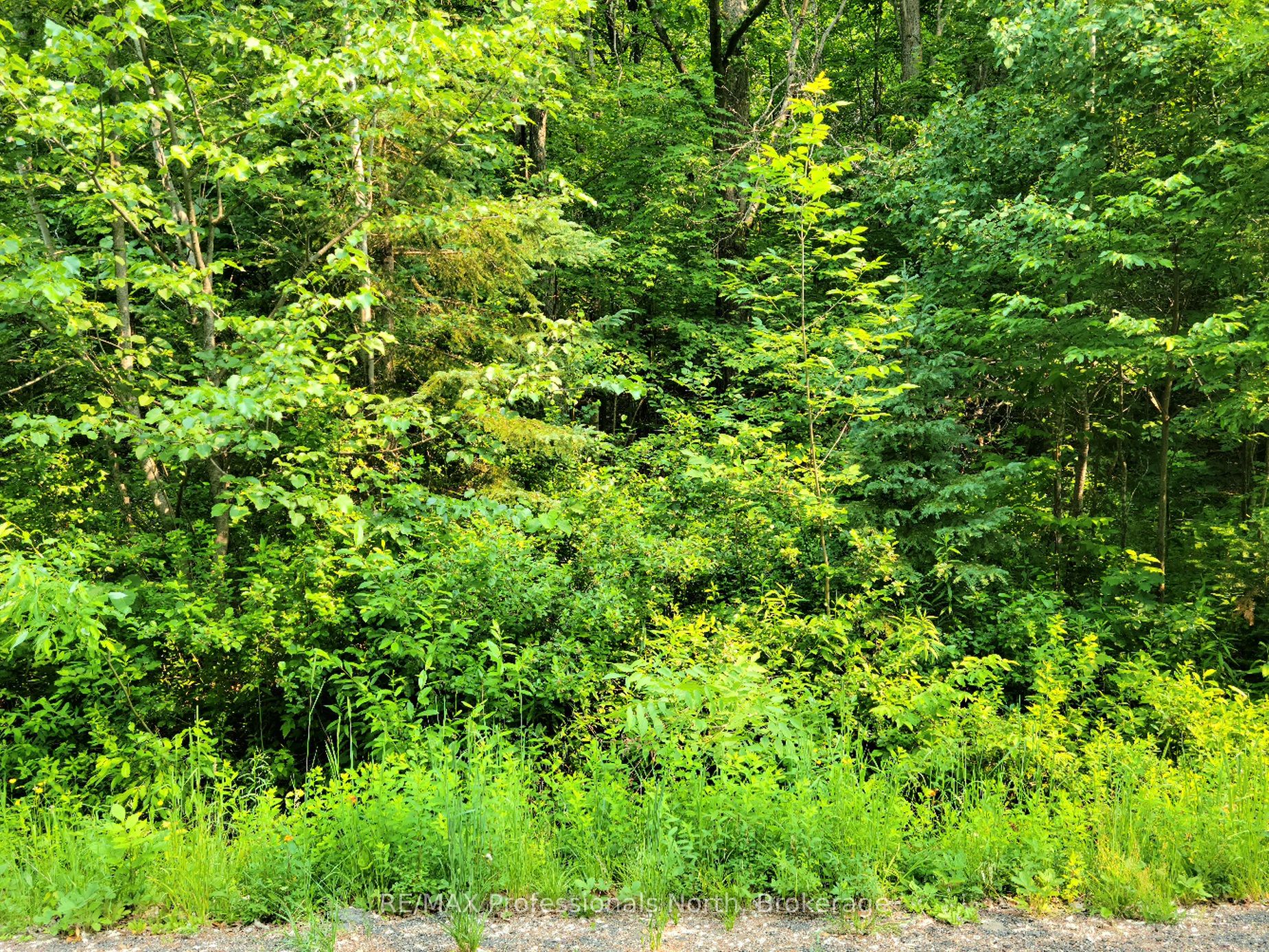 26 MOUNT VERNON Trail 19 Property Photo 1