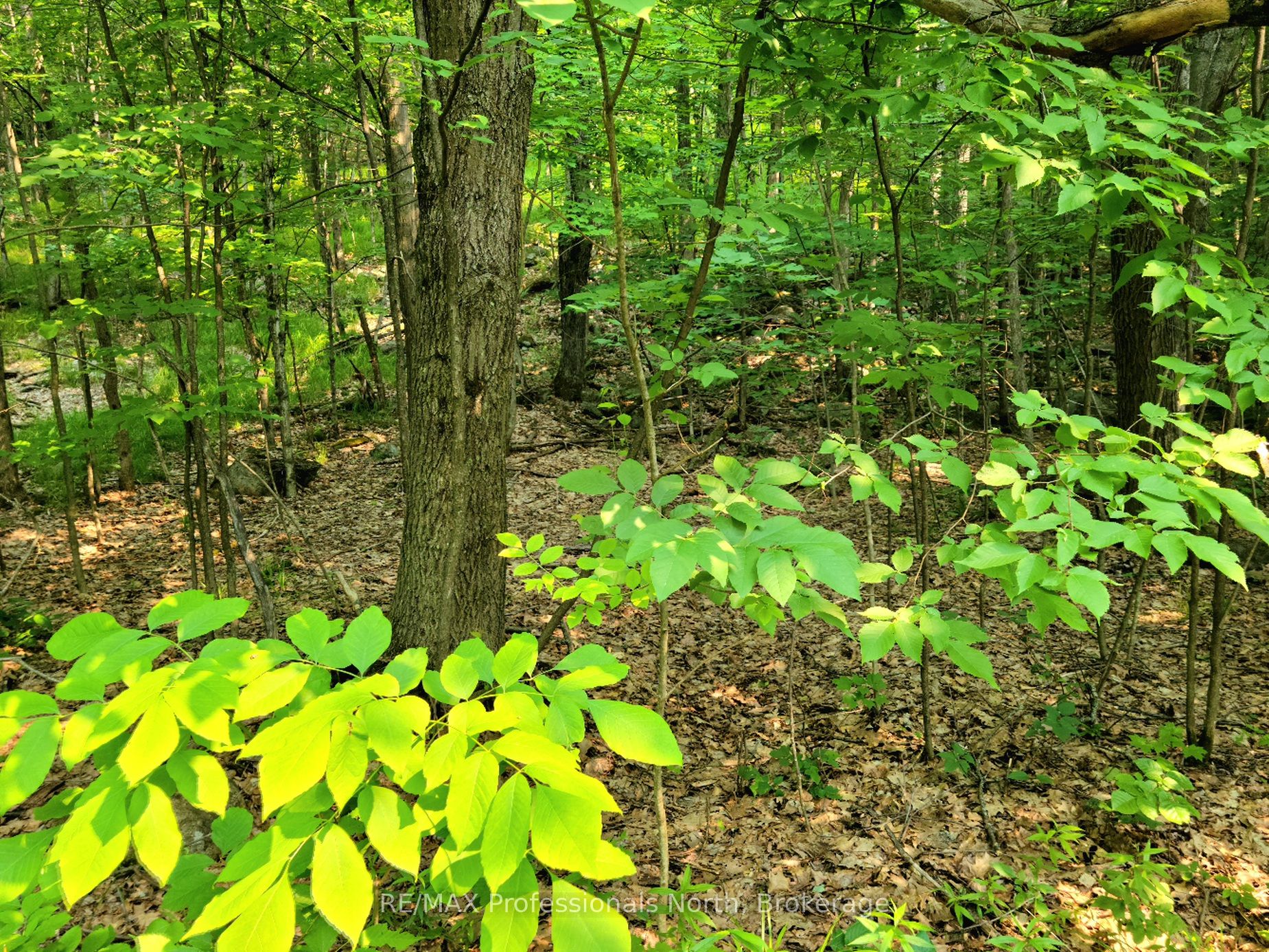 26 Mount Vernon Trail 19 Property Photo 2
