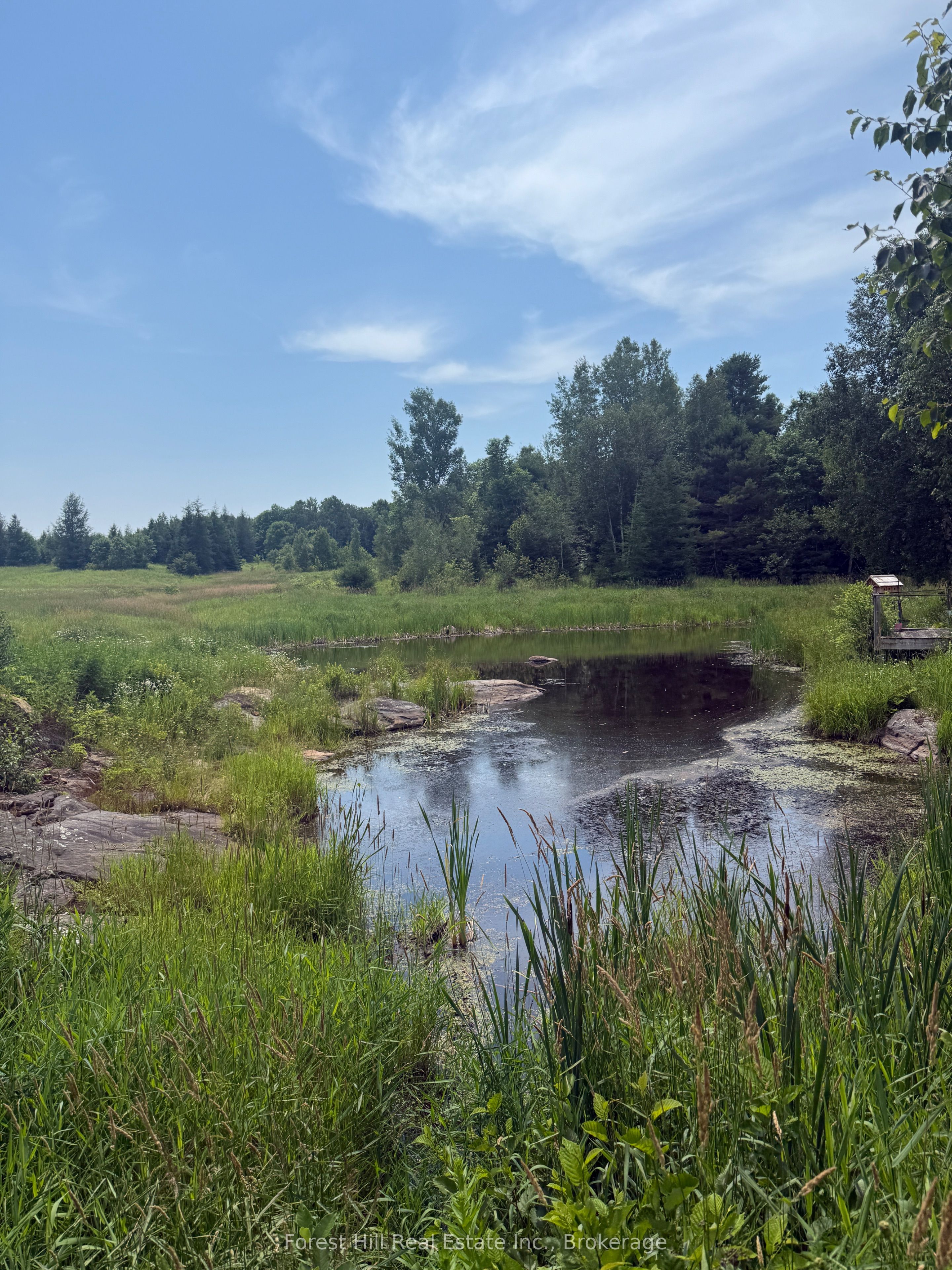 12547 Hwy 522 Highway Property Photo 6