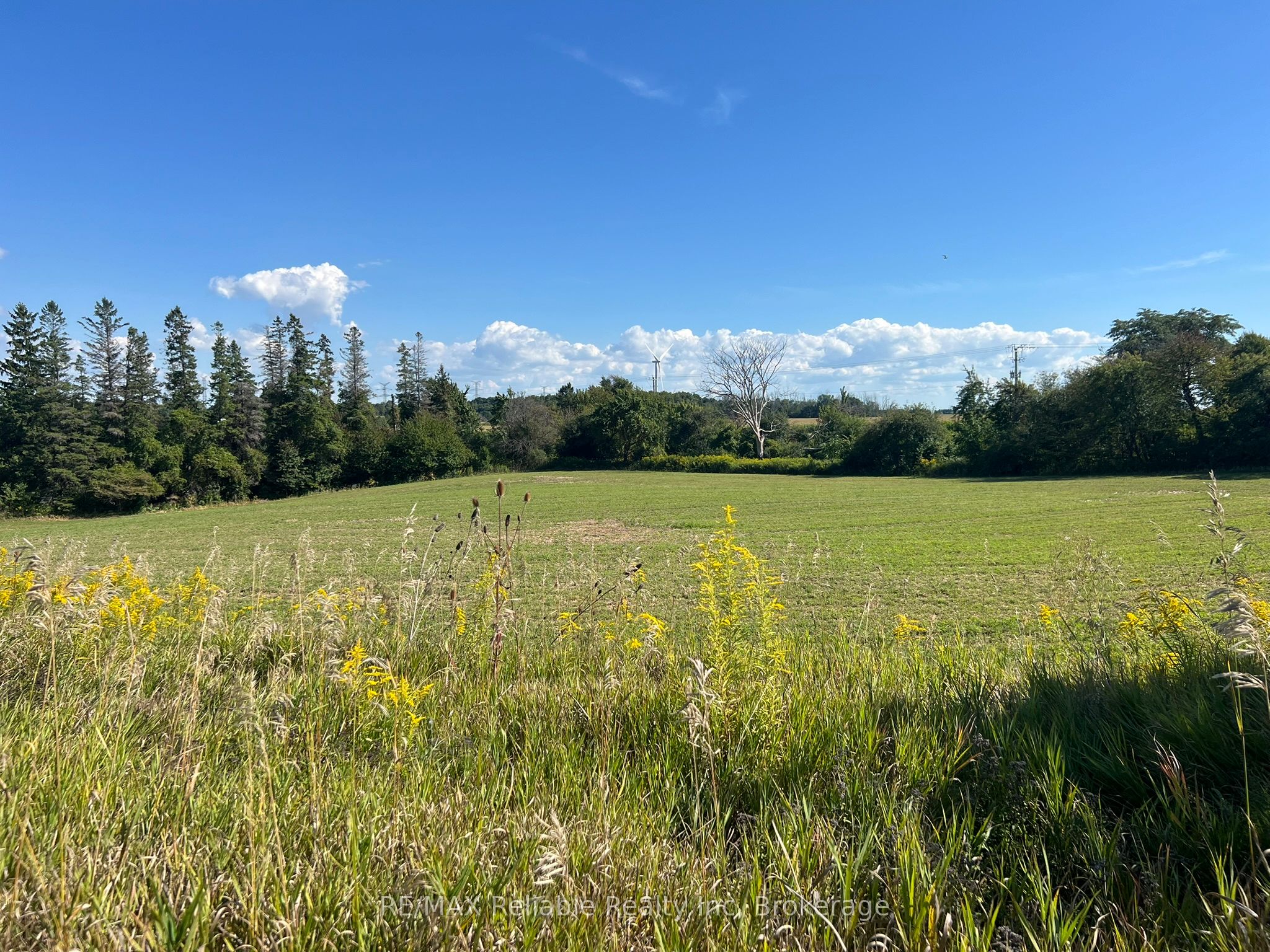38012 Mill Road Property Photo 15