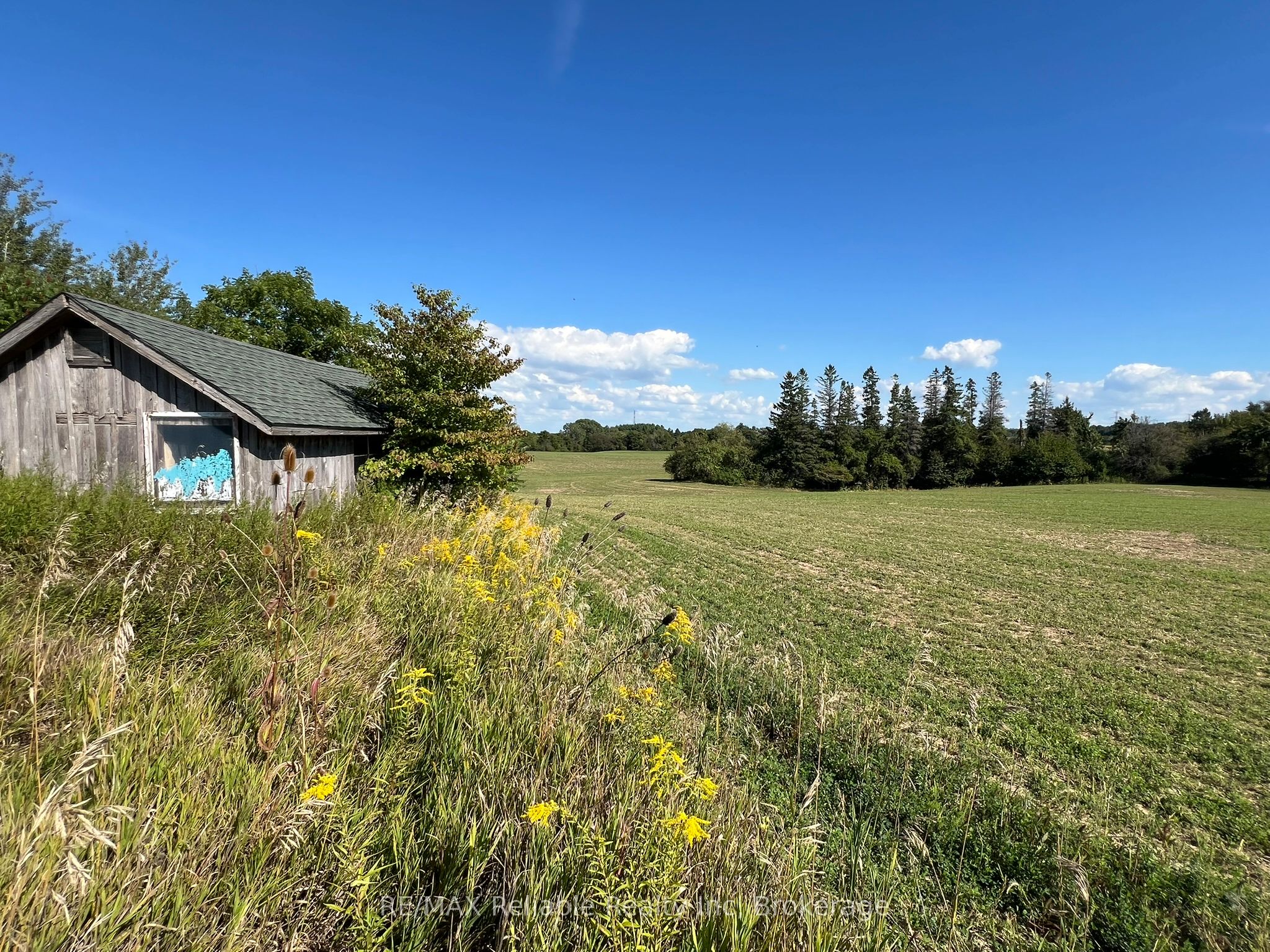 38012 Mill Road Property Photo 18
