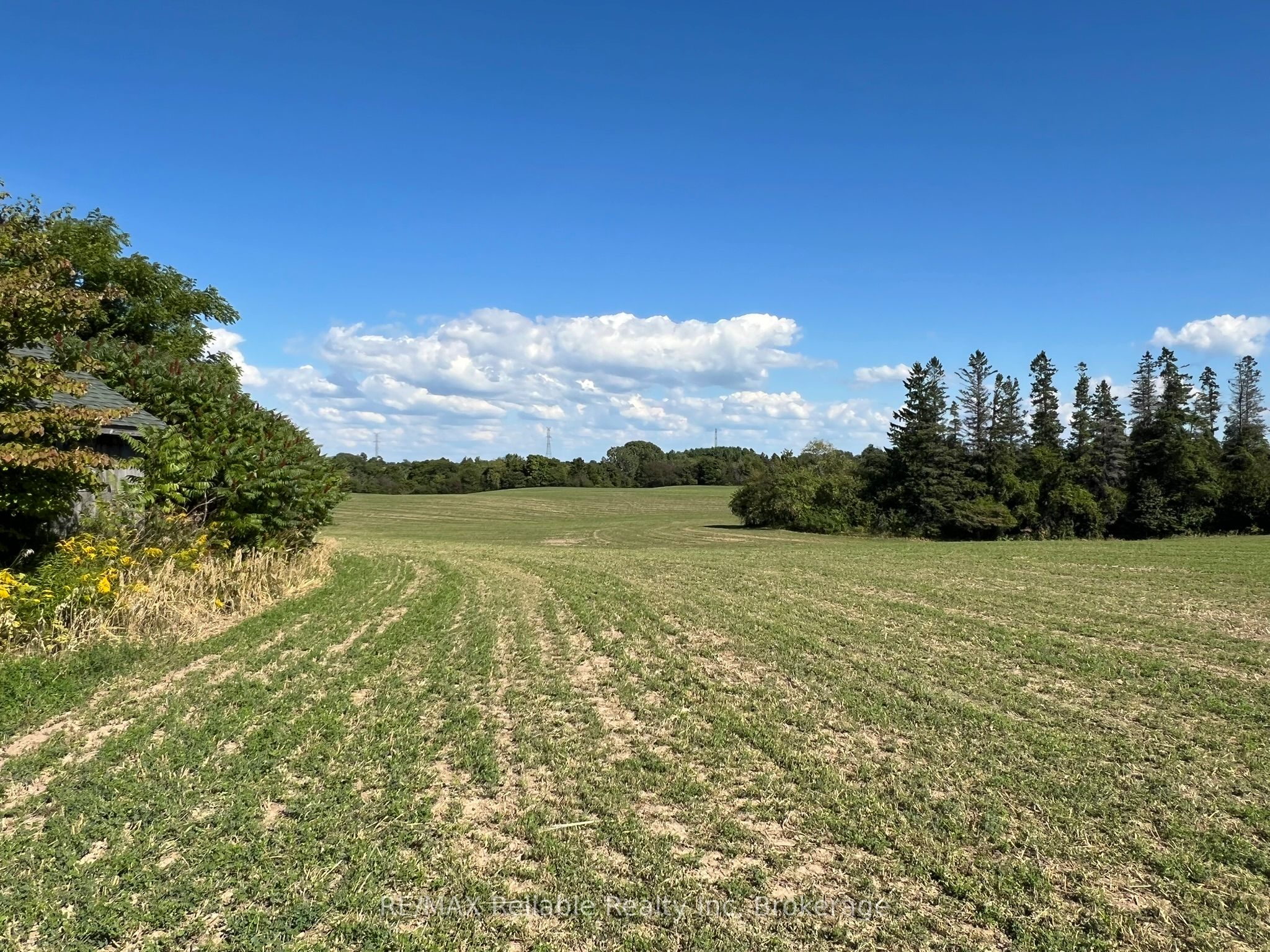 38012 Mill Road Property Photo 19
