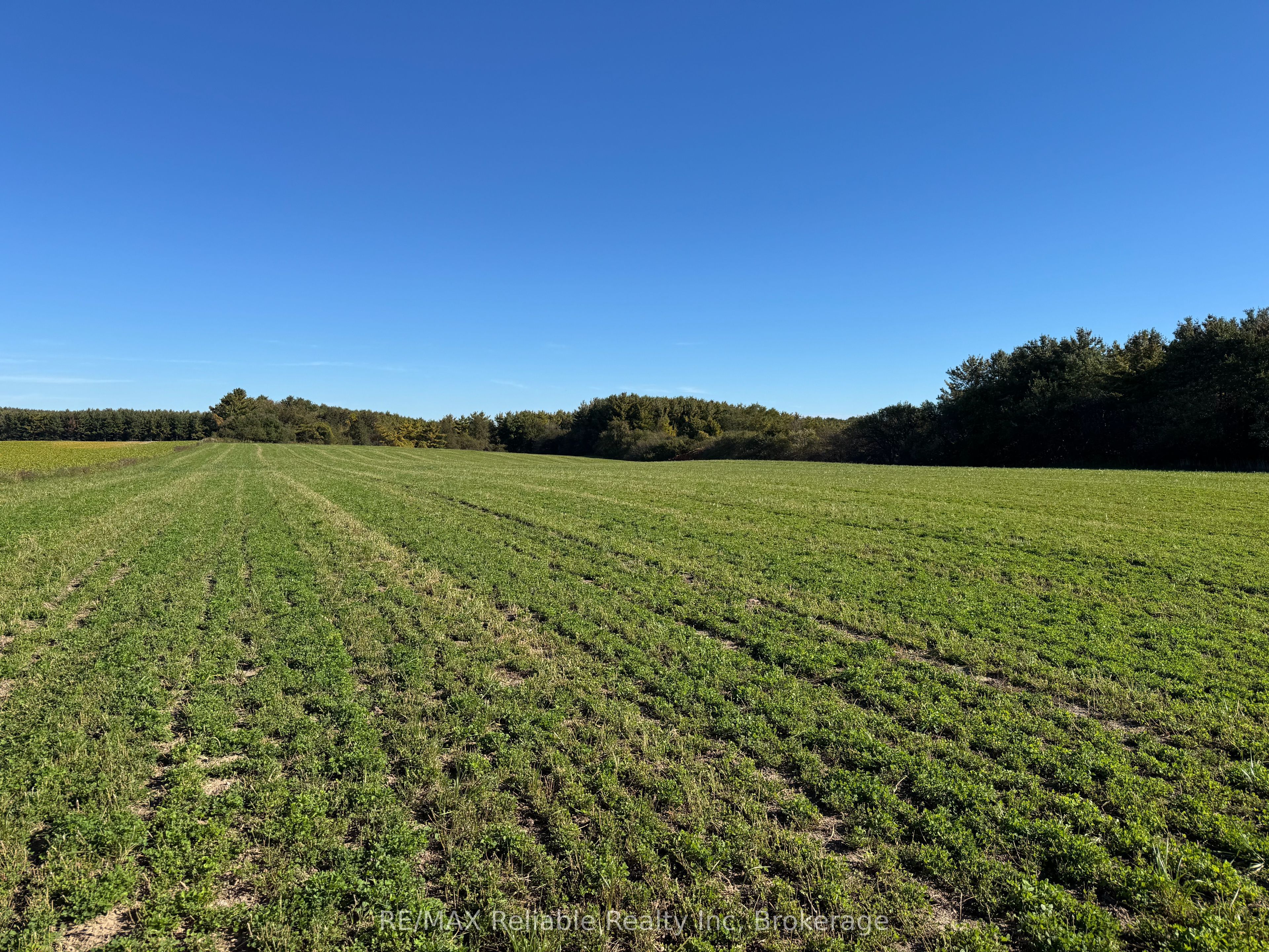 38012 Mill Road Property Photo 46
