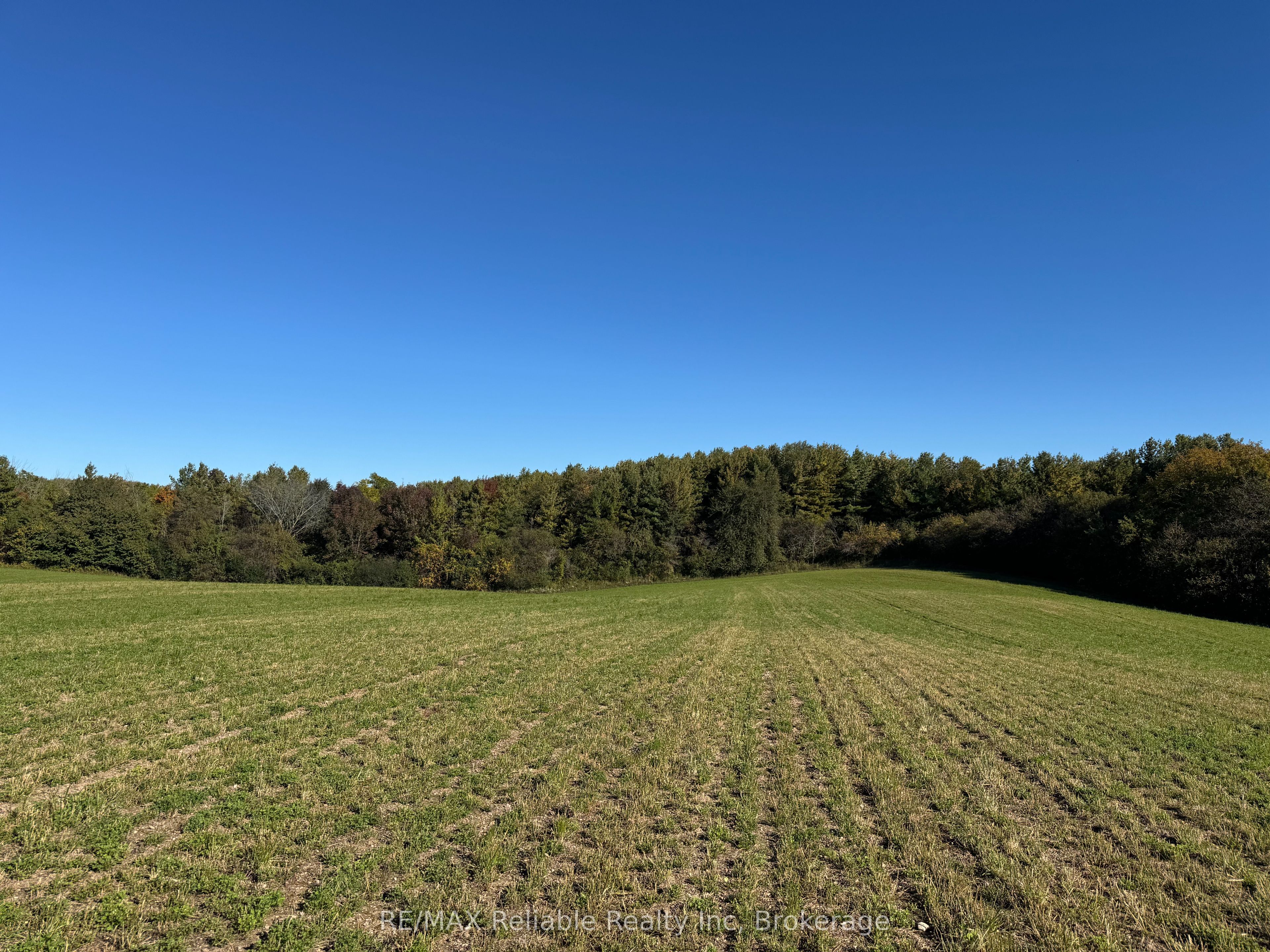 38012 Mill Road Property Photo 47