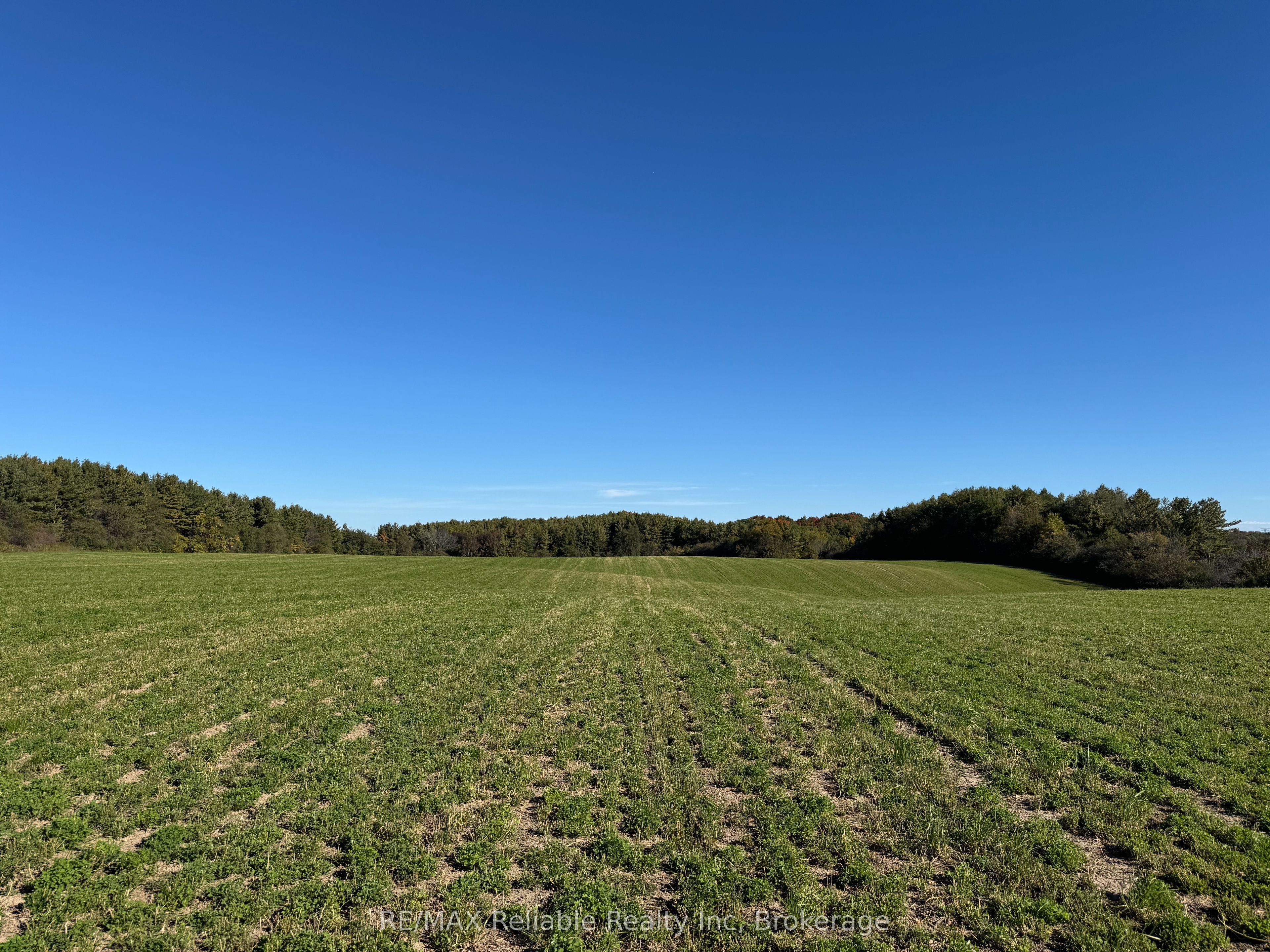 38012 Mill Road Property Photo 48