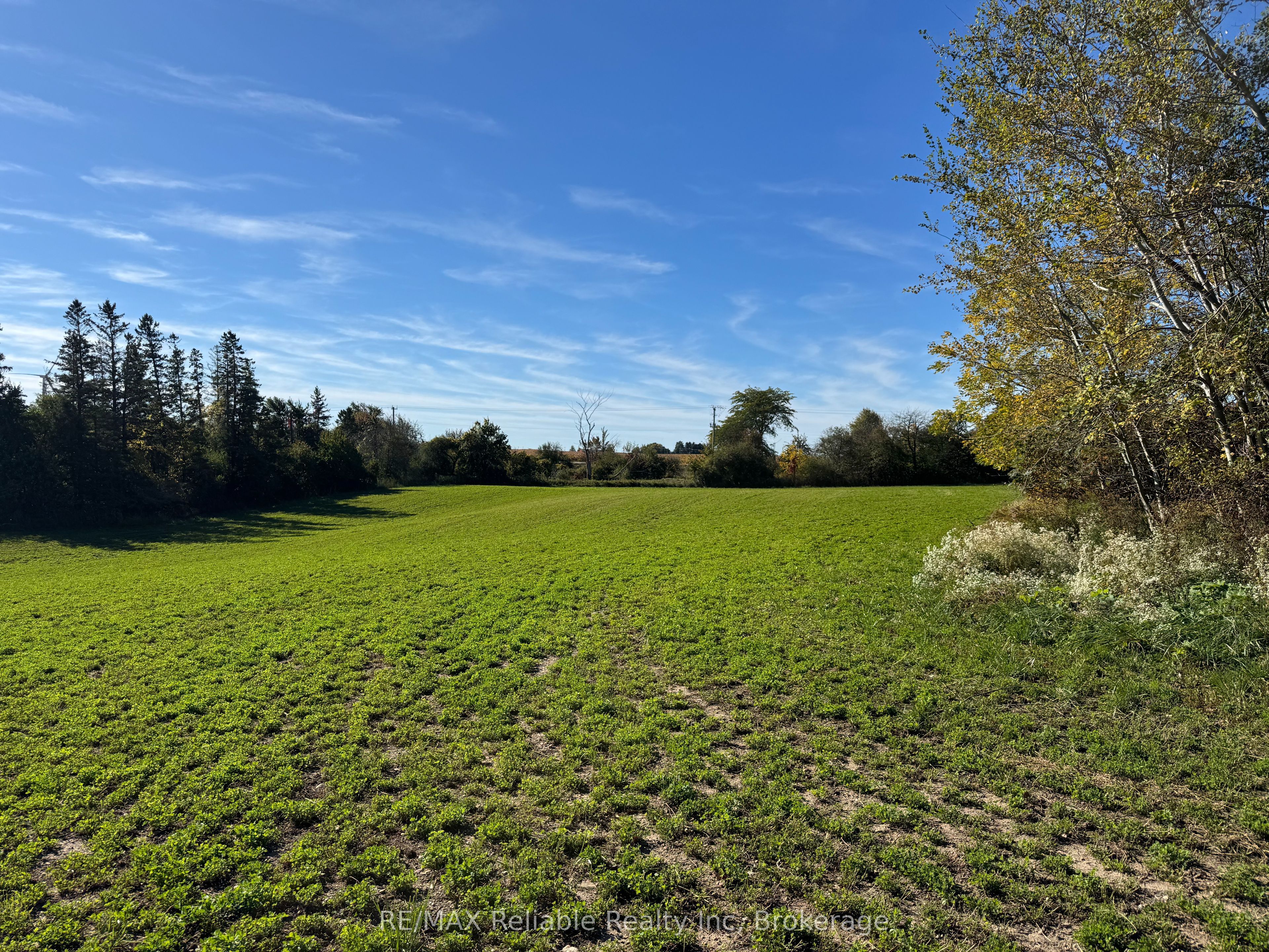 38012 Mill Road Property Photo 49