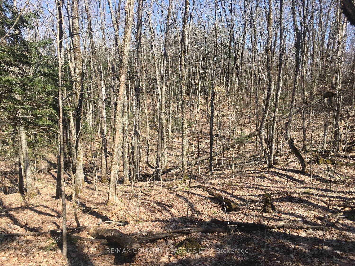 5192 Hwy 620 Property Photo 2