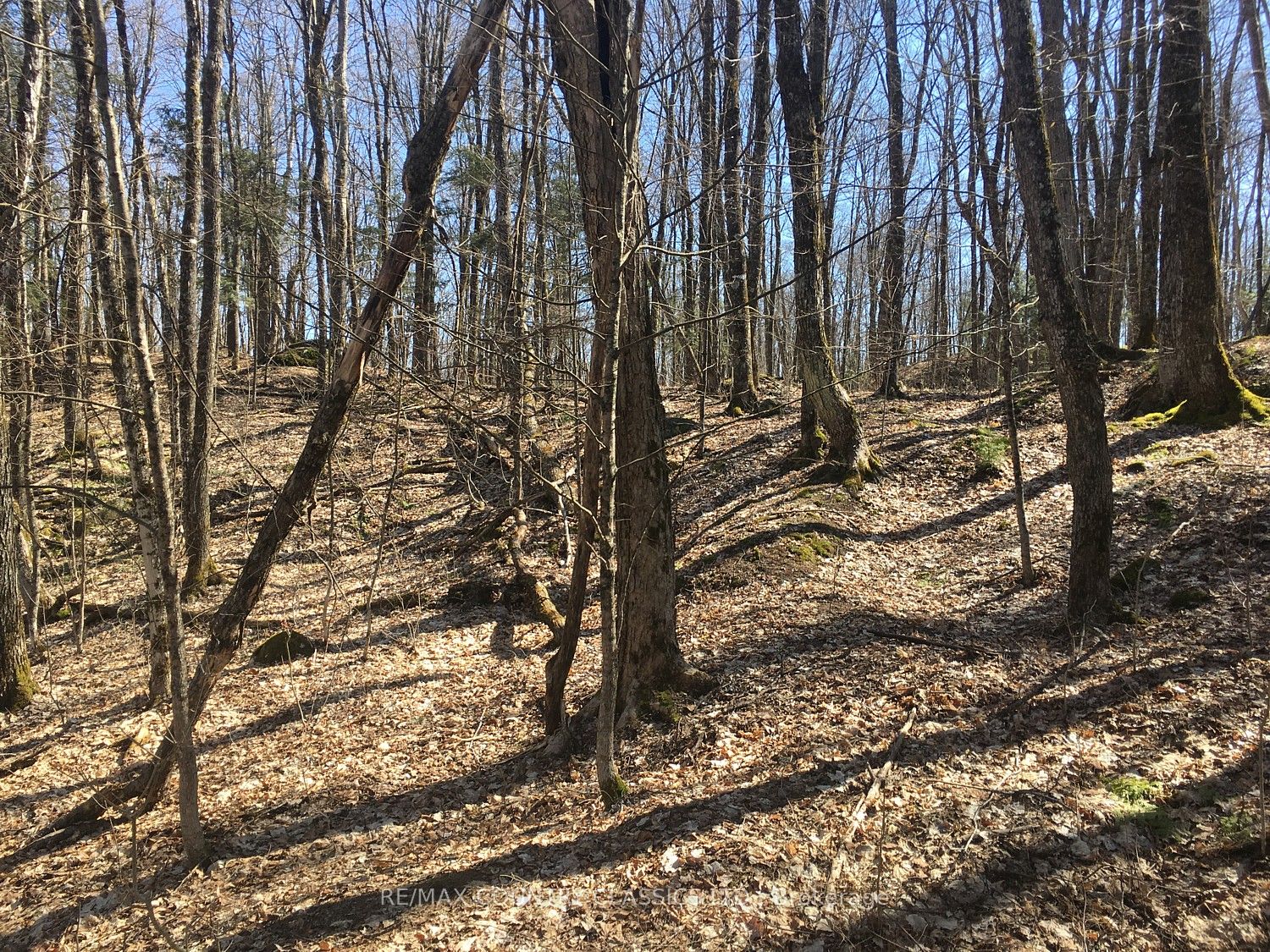 5192 Hwy 620 Property Photo 3