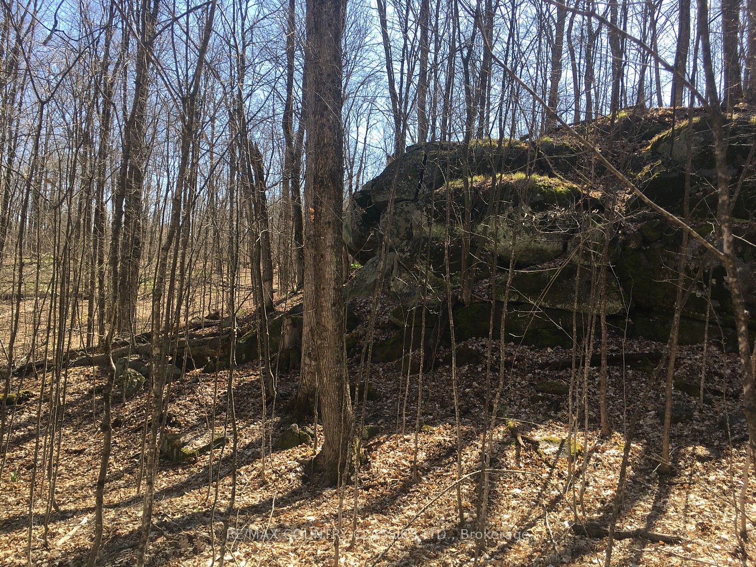 5192 Hwy 620 Property Photo 4