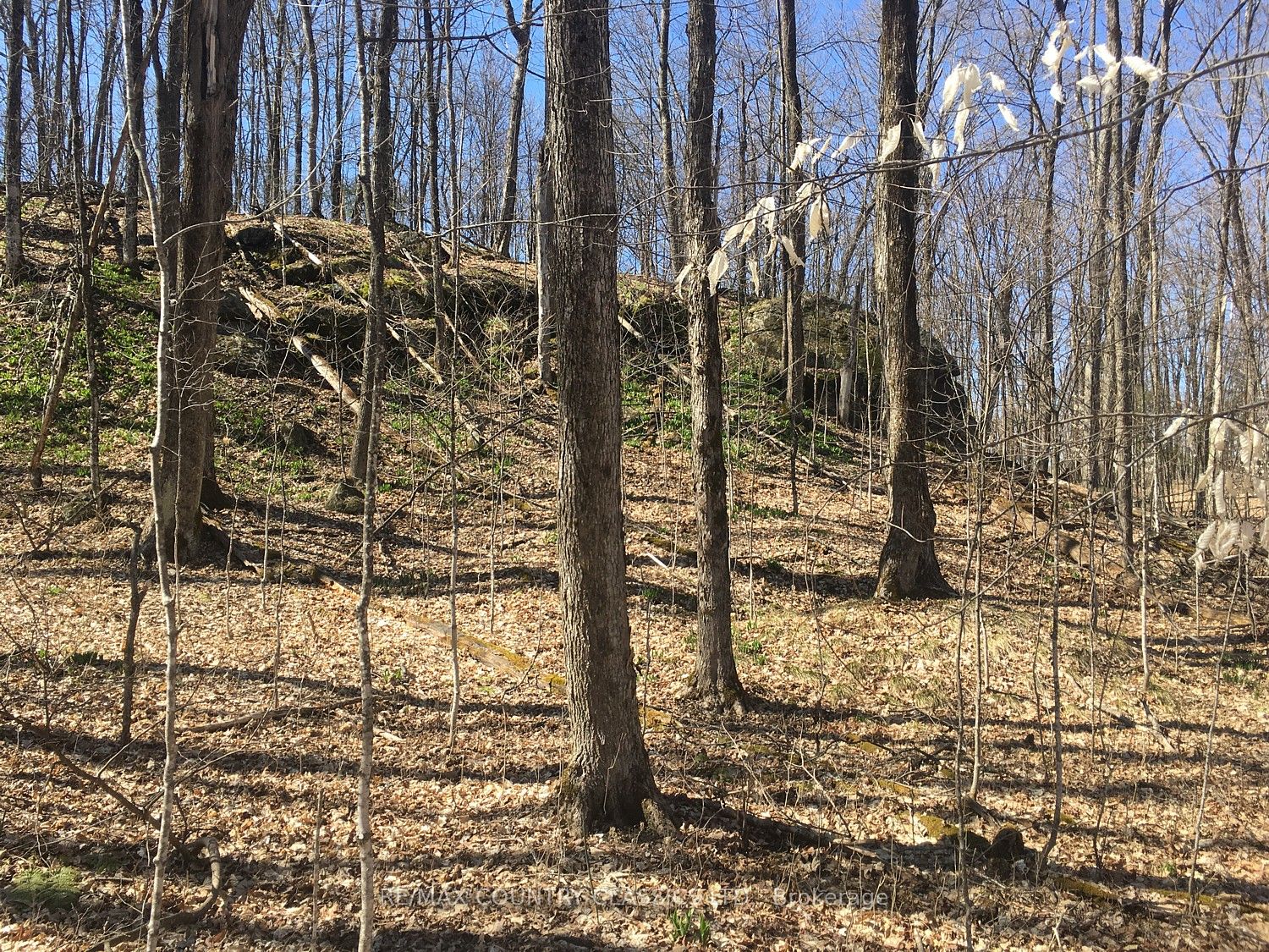 5192 Hwy 620 Property Photo 5