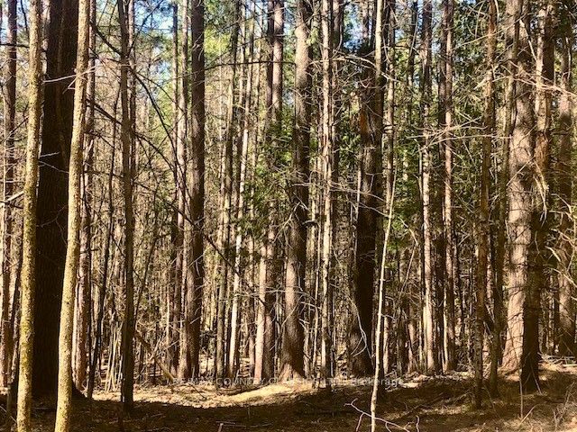 5192 Hwy 620 Property Photo 13