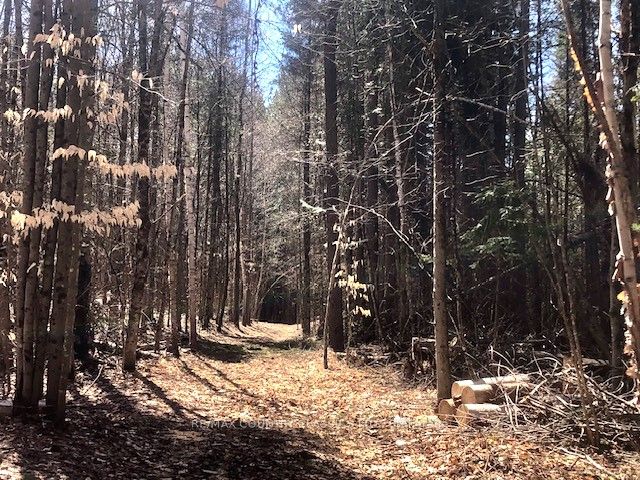 5192 Hwy 620 Property Photo 15