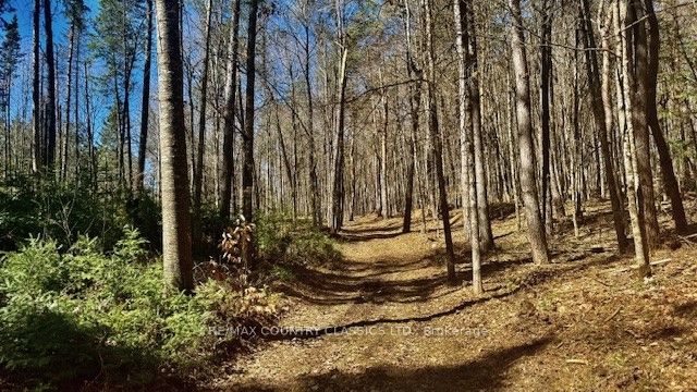 5192 Hwy 620 Property Photo 17