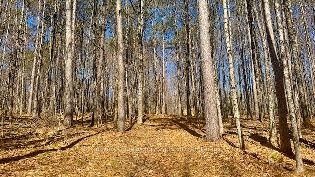 5192 Hwy 620 Property Photo 18