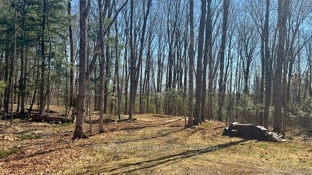 5192 Hwy 620 Property Photo 19